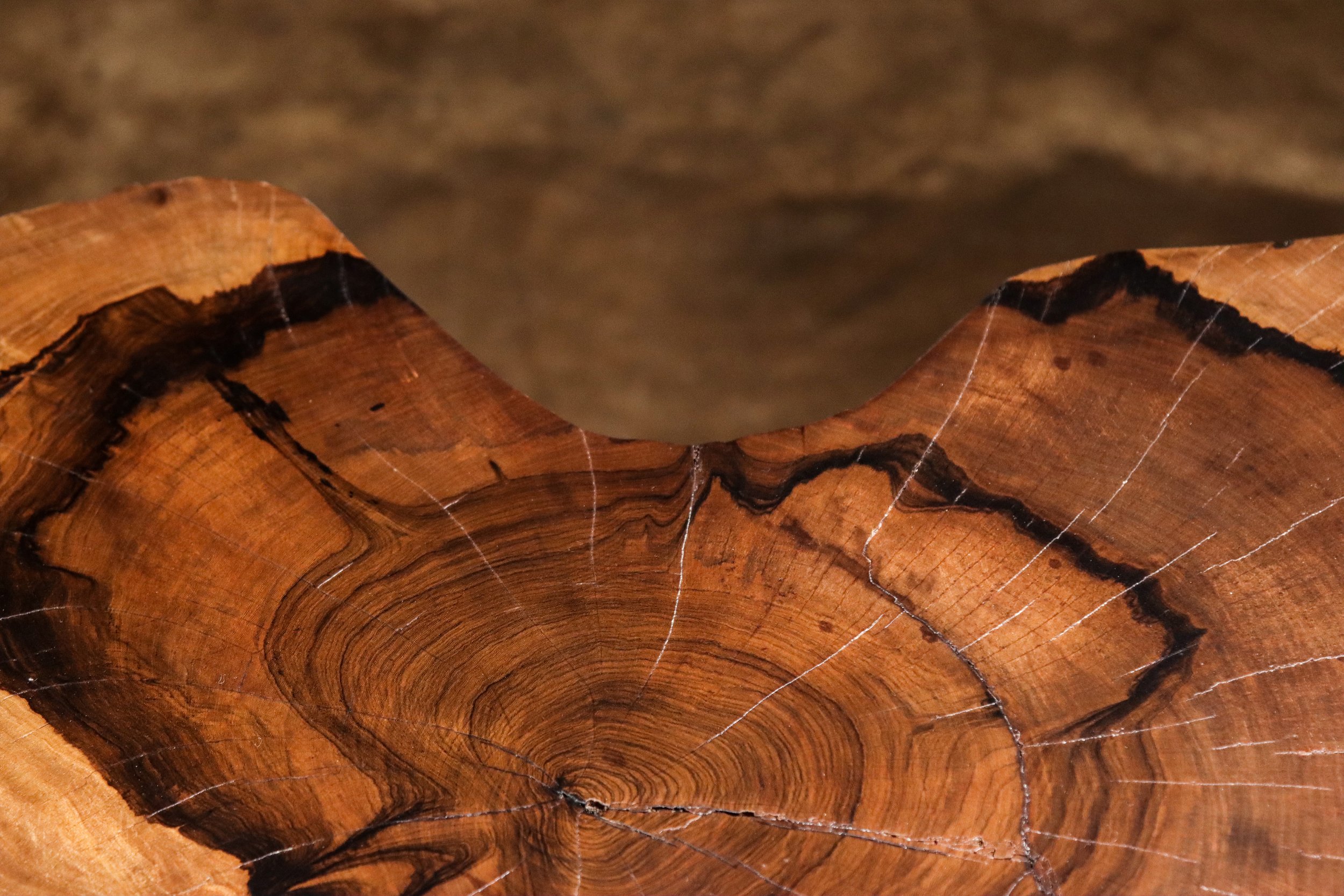 Francisco f49 by Costantini 11.jpg