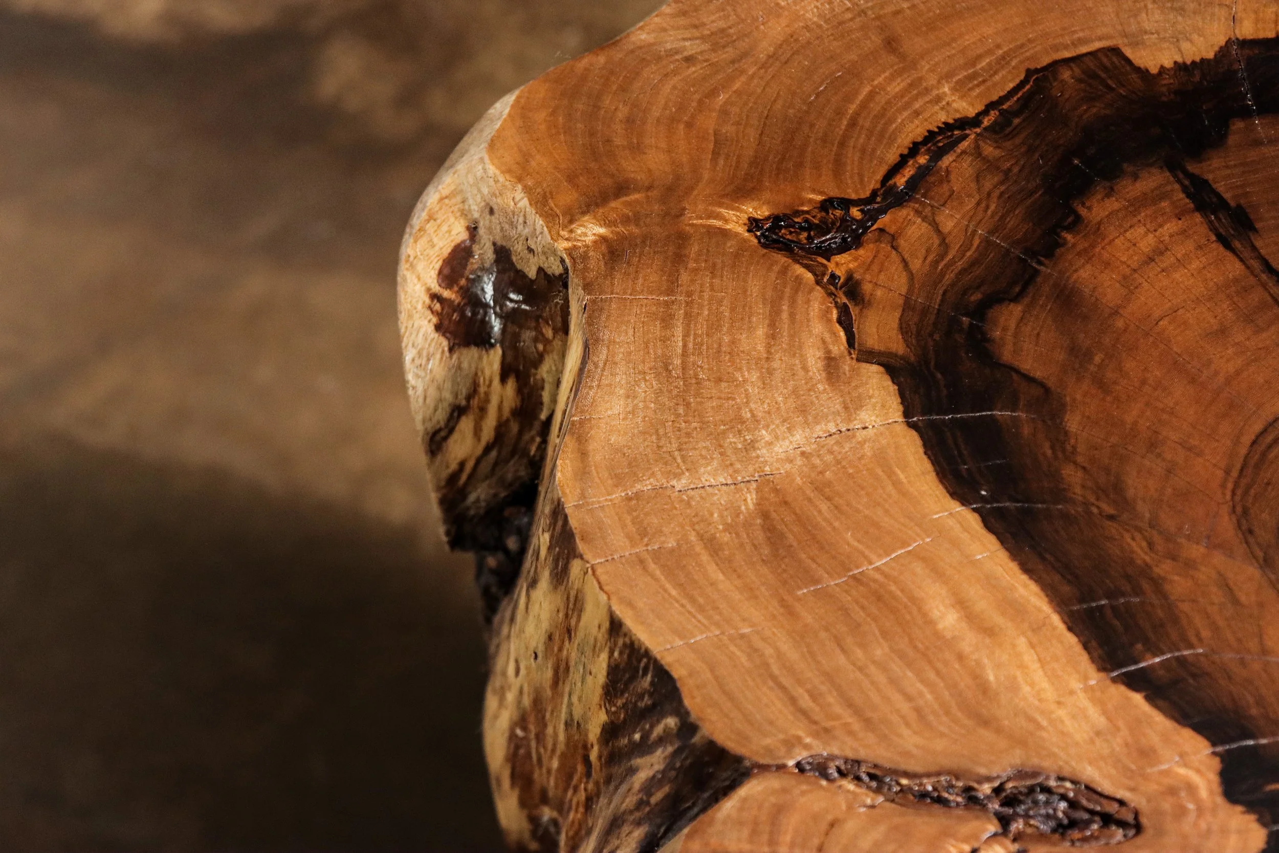 Francisco f49 by Costantini 12.jpg