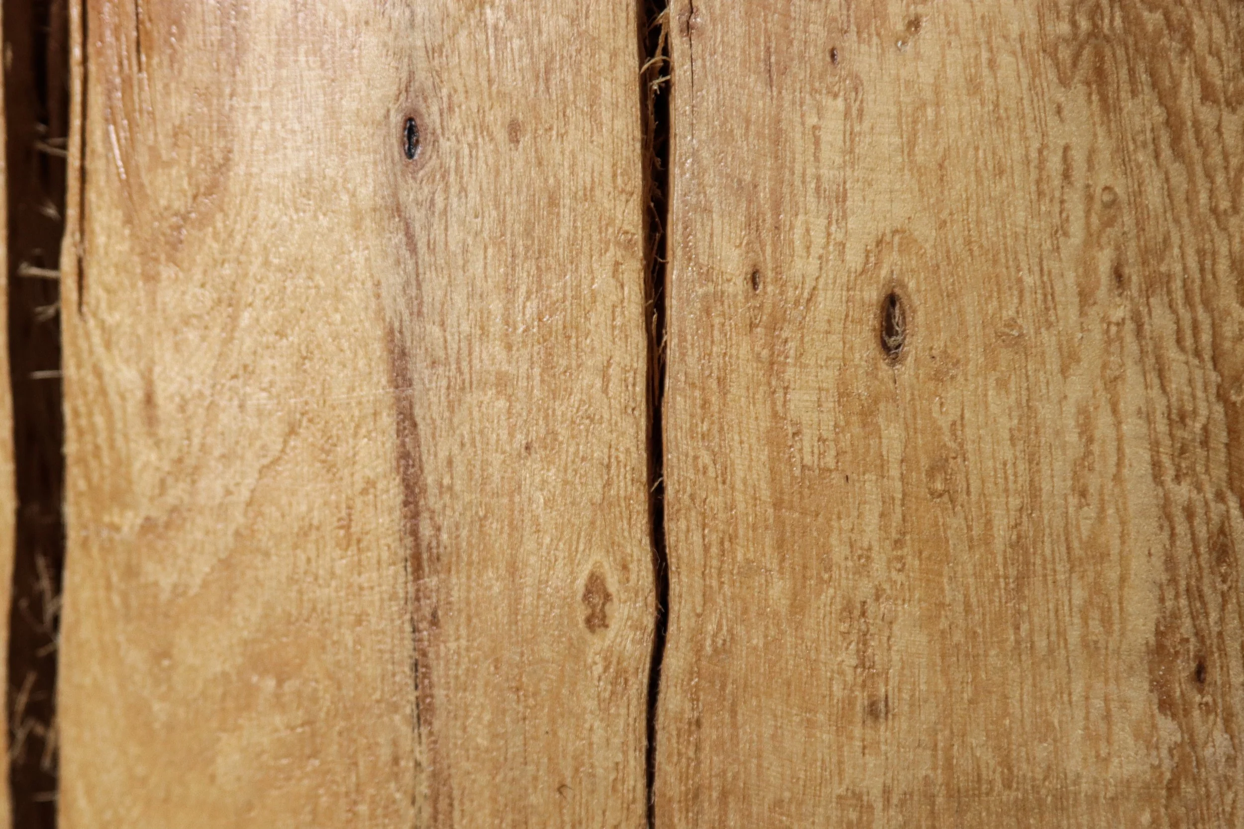 Francisco f47 by Costantini 12.jpg