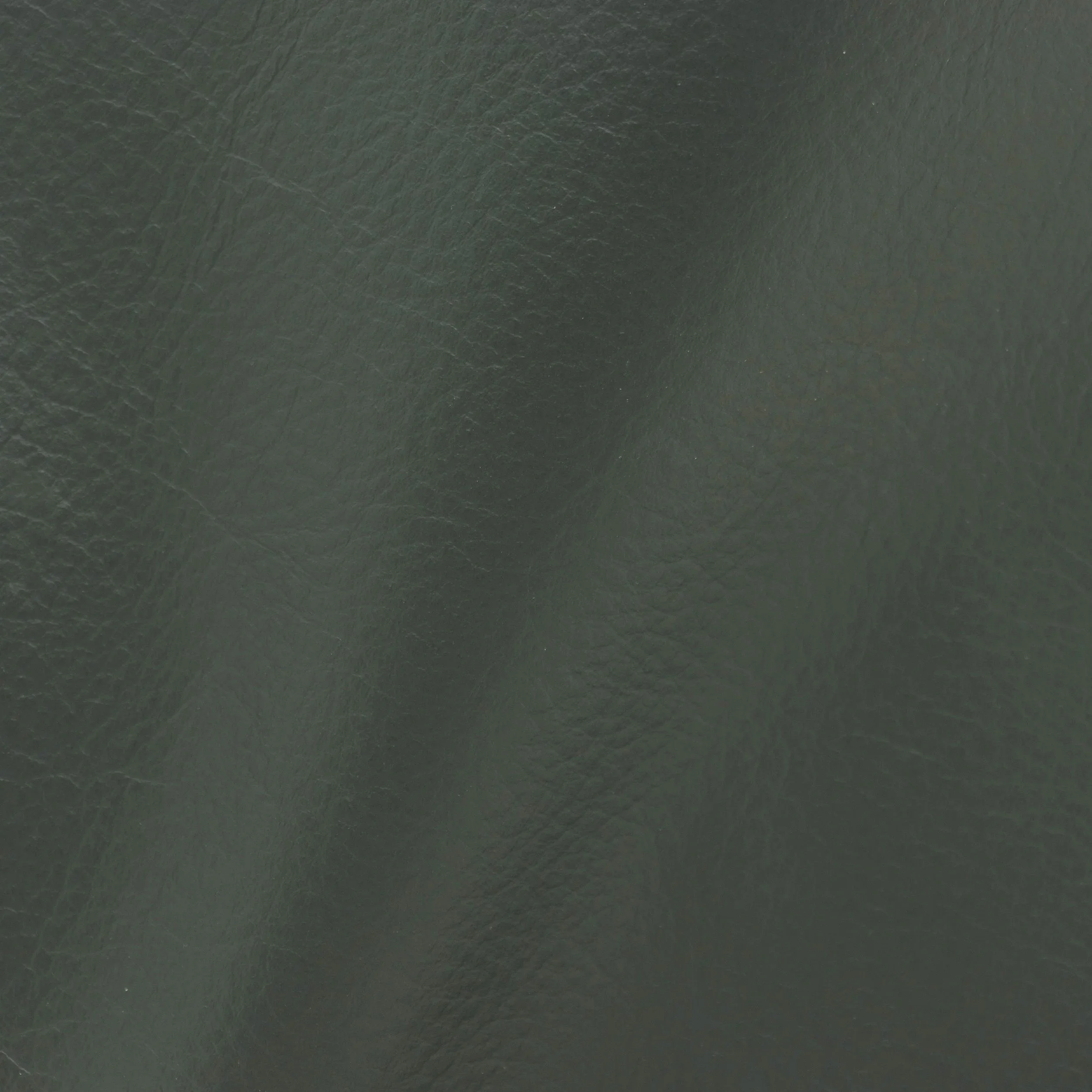 imgi_21_Antartica+Billar+Leather+Sample+by+Costantini+01.jpg