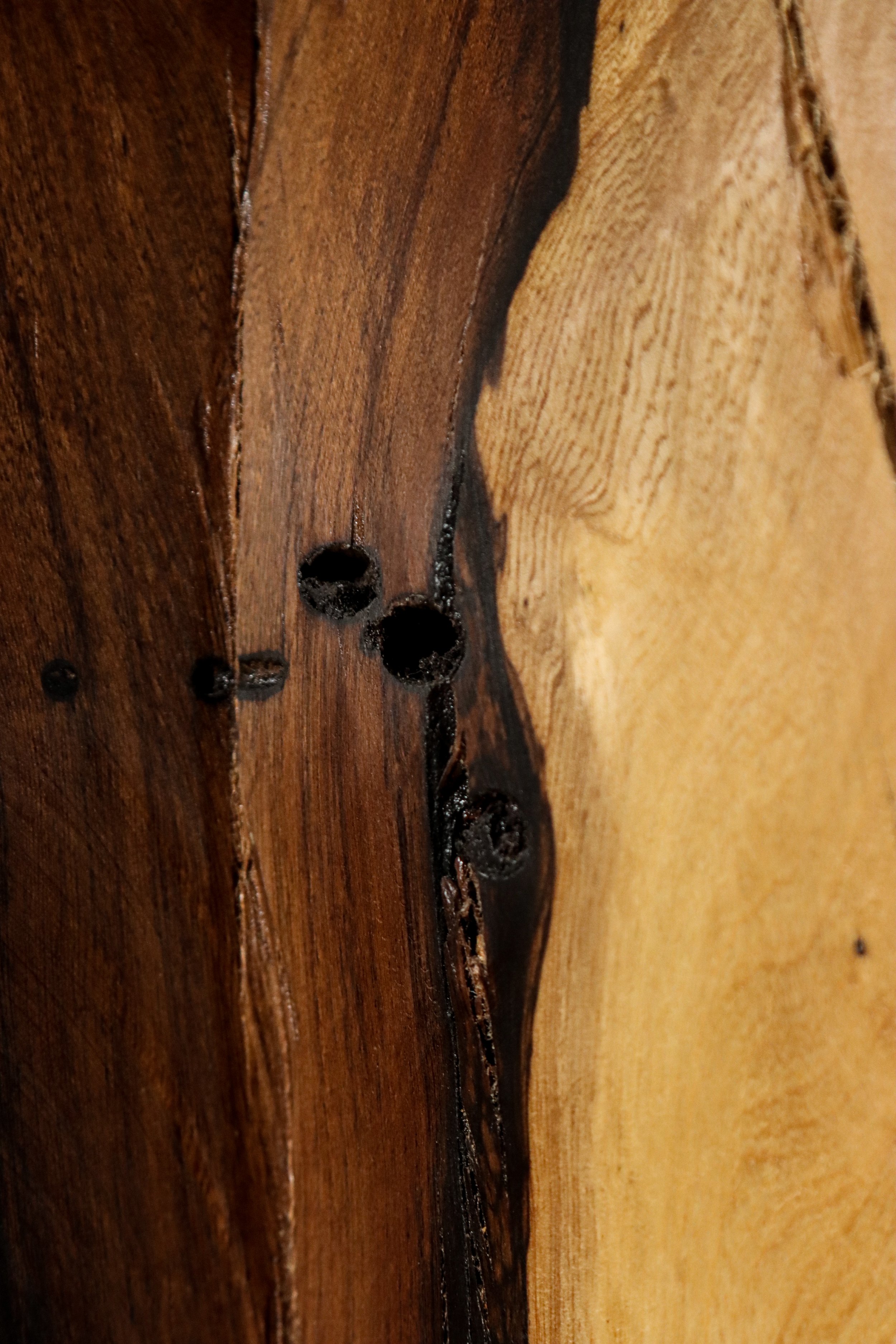 Francisco f49 by Costantini 05.jpg