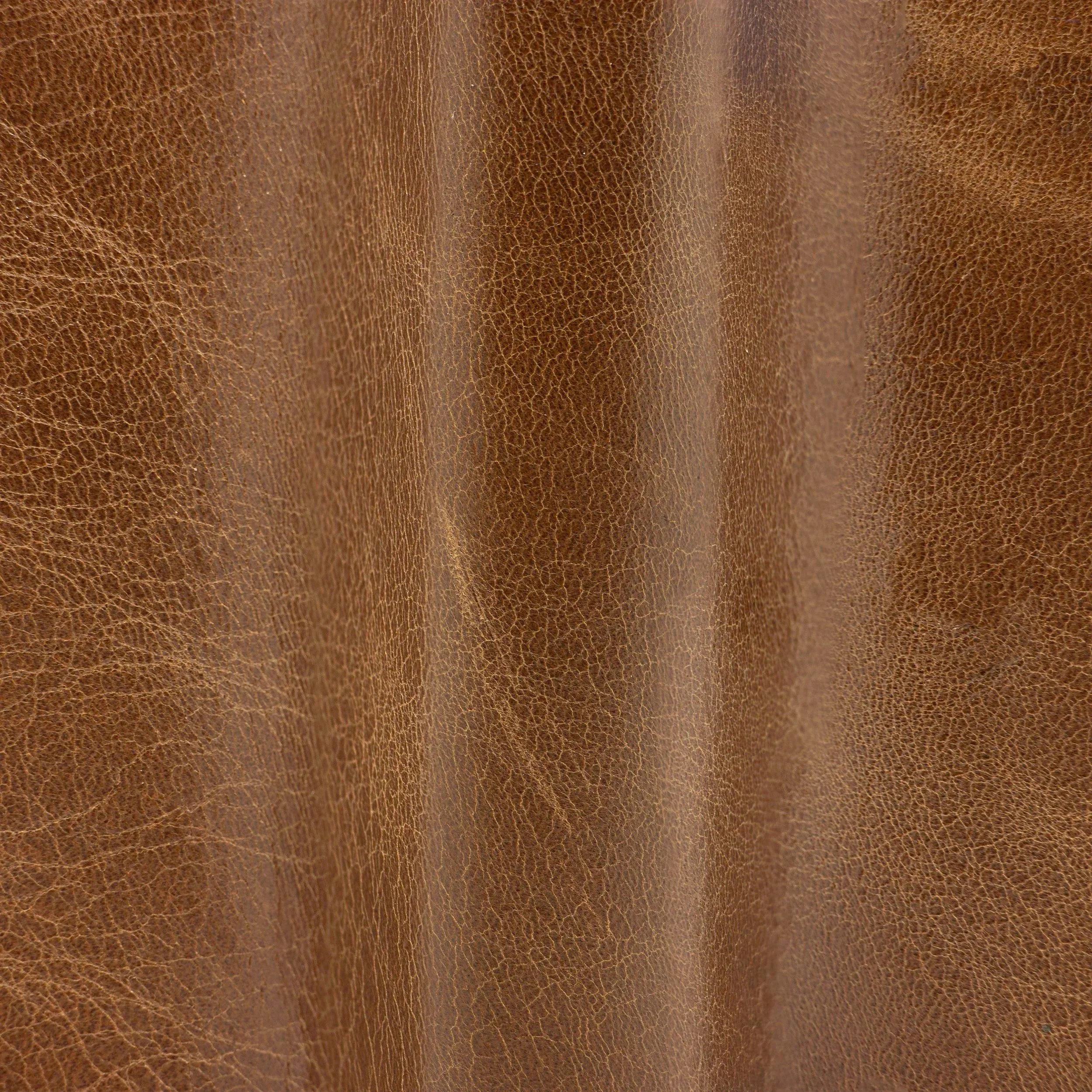 imgi_21_Rivera+Coconut+01.jpg