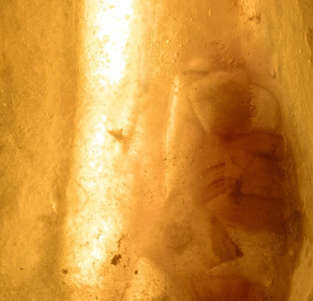 neolithic detail.jpg