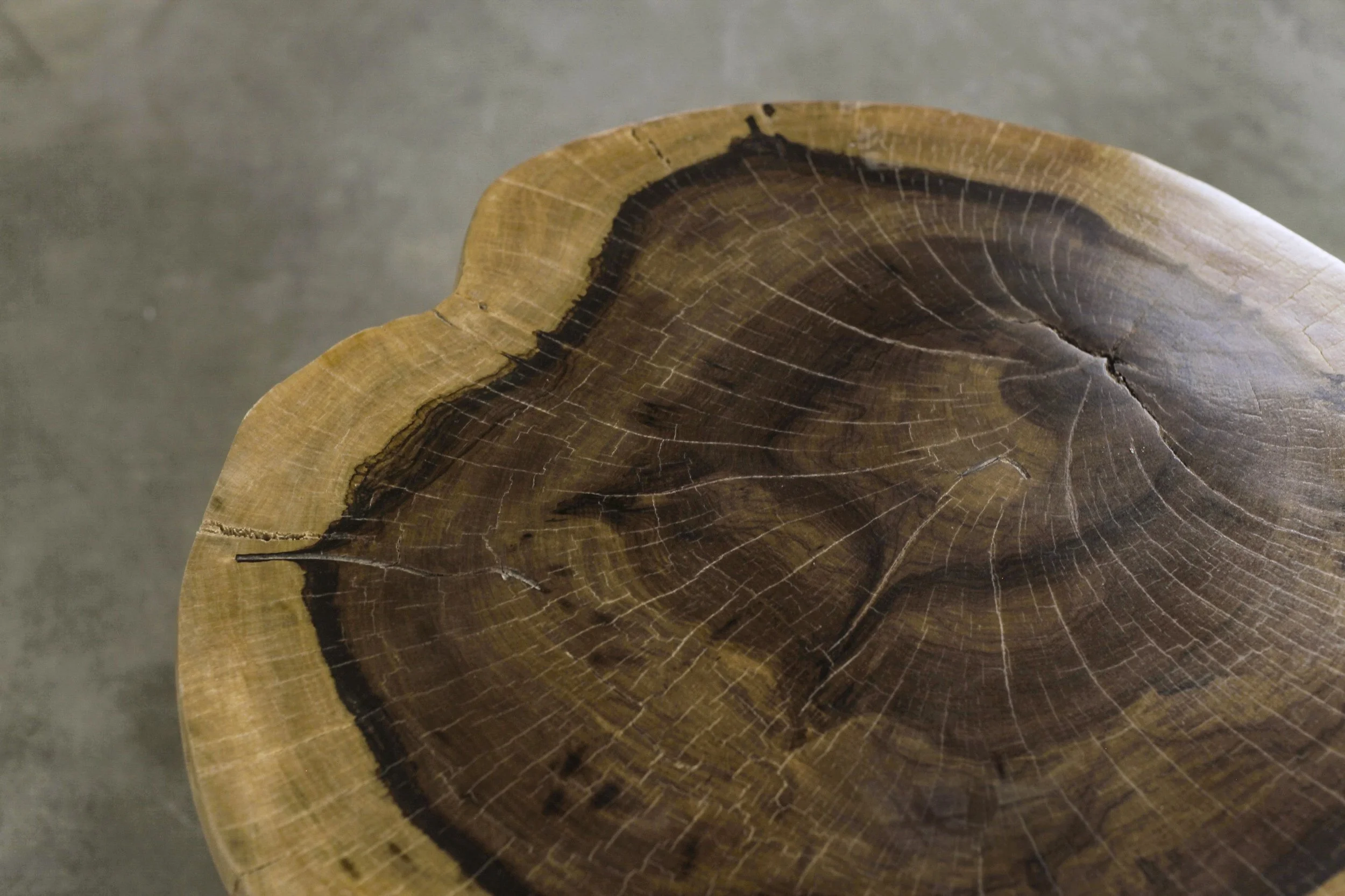 ƒ 16 D25,39”H19,88” 05.jpg