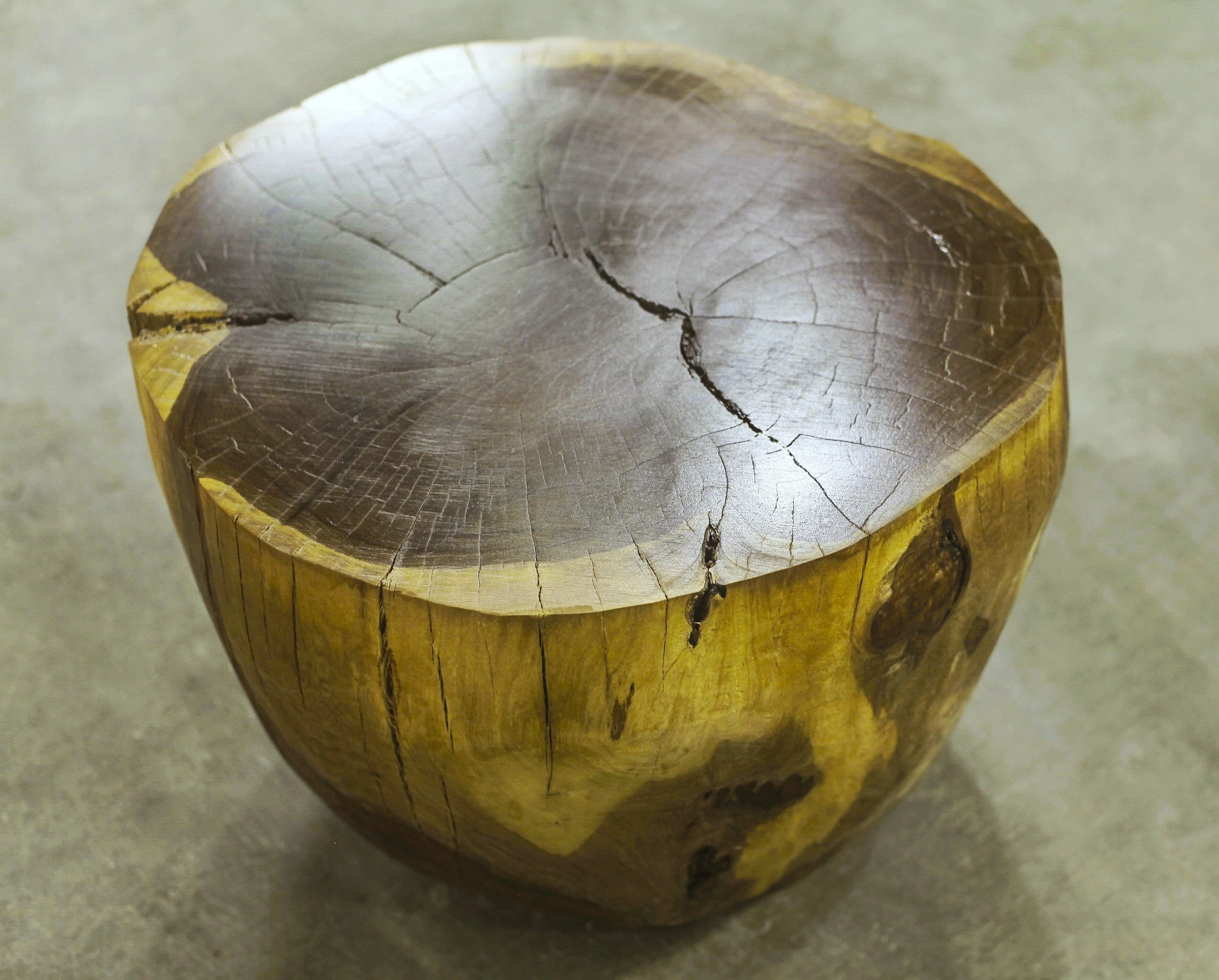 Francisco Live Edge Trunk Table ƒ 6 by Costantini 05.jpg