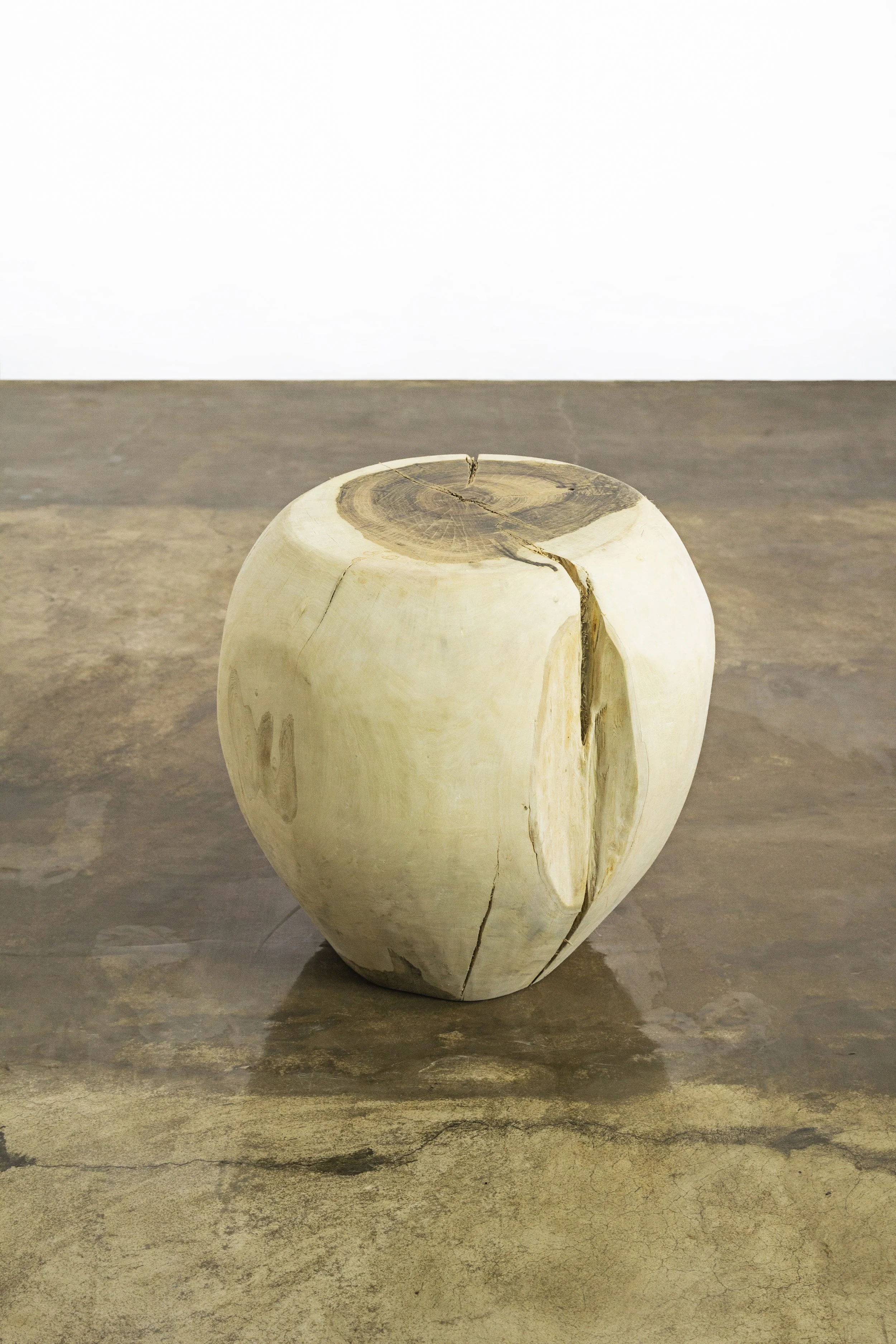 Francisco Live Edge Trunk Table ƒ 30 by Costantini 00.jpg