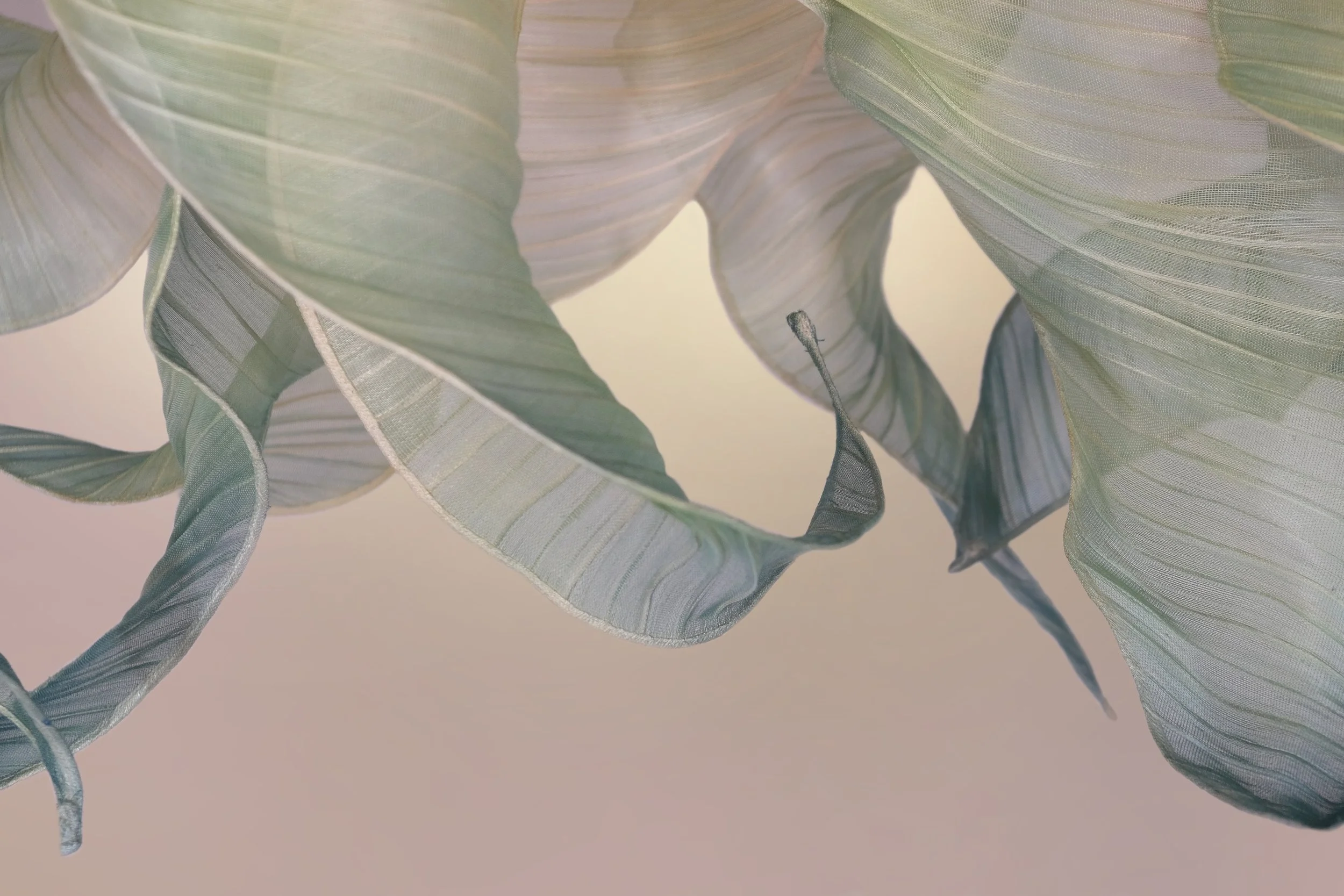 Nebula Grande Seafoam from Mirei Monticelli 07.JPG