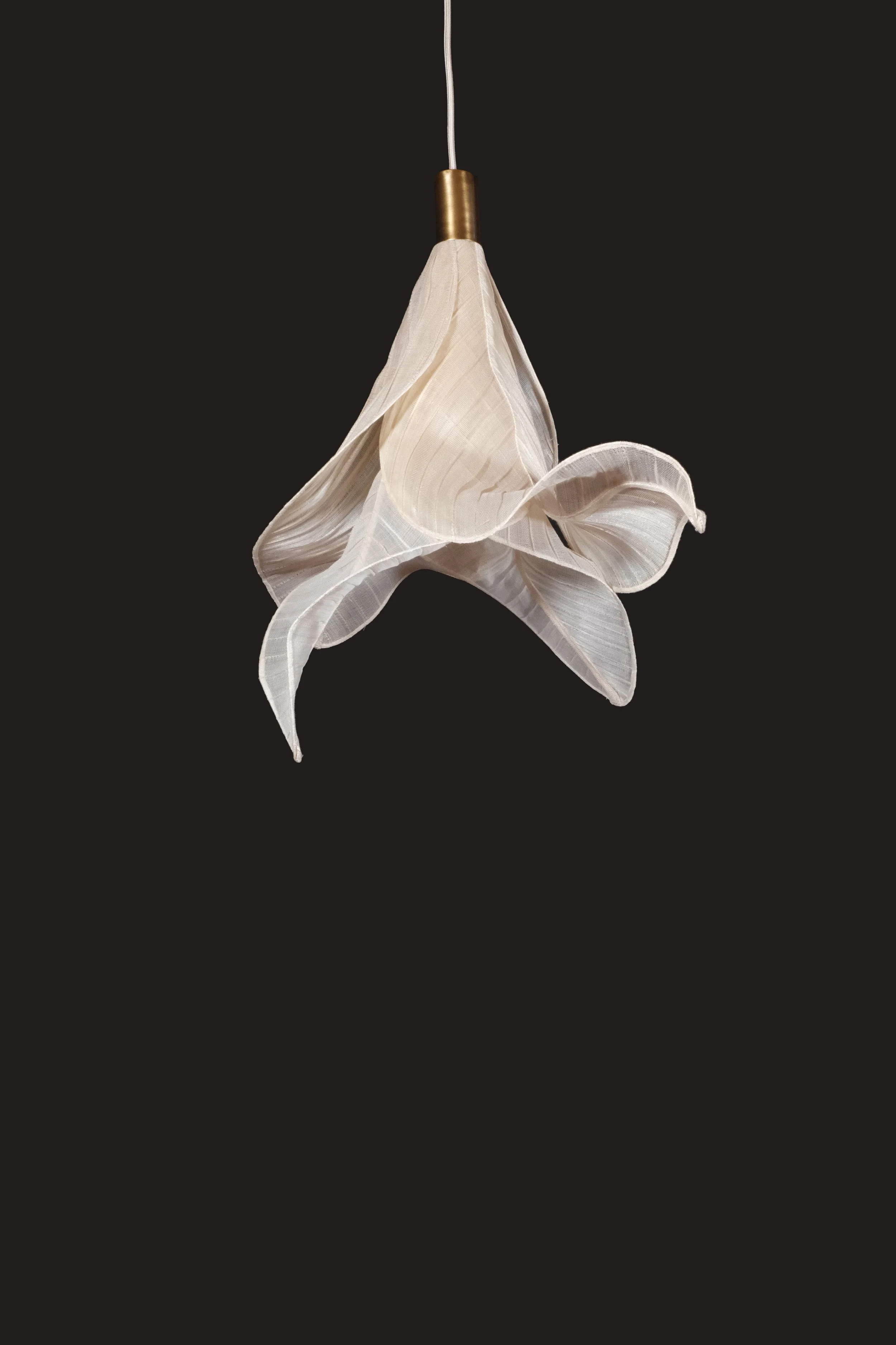 02 Sirenetta Cream.jpg