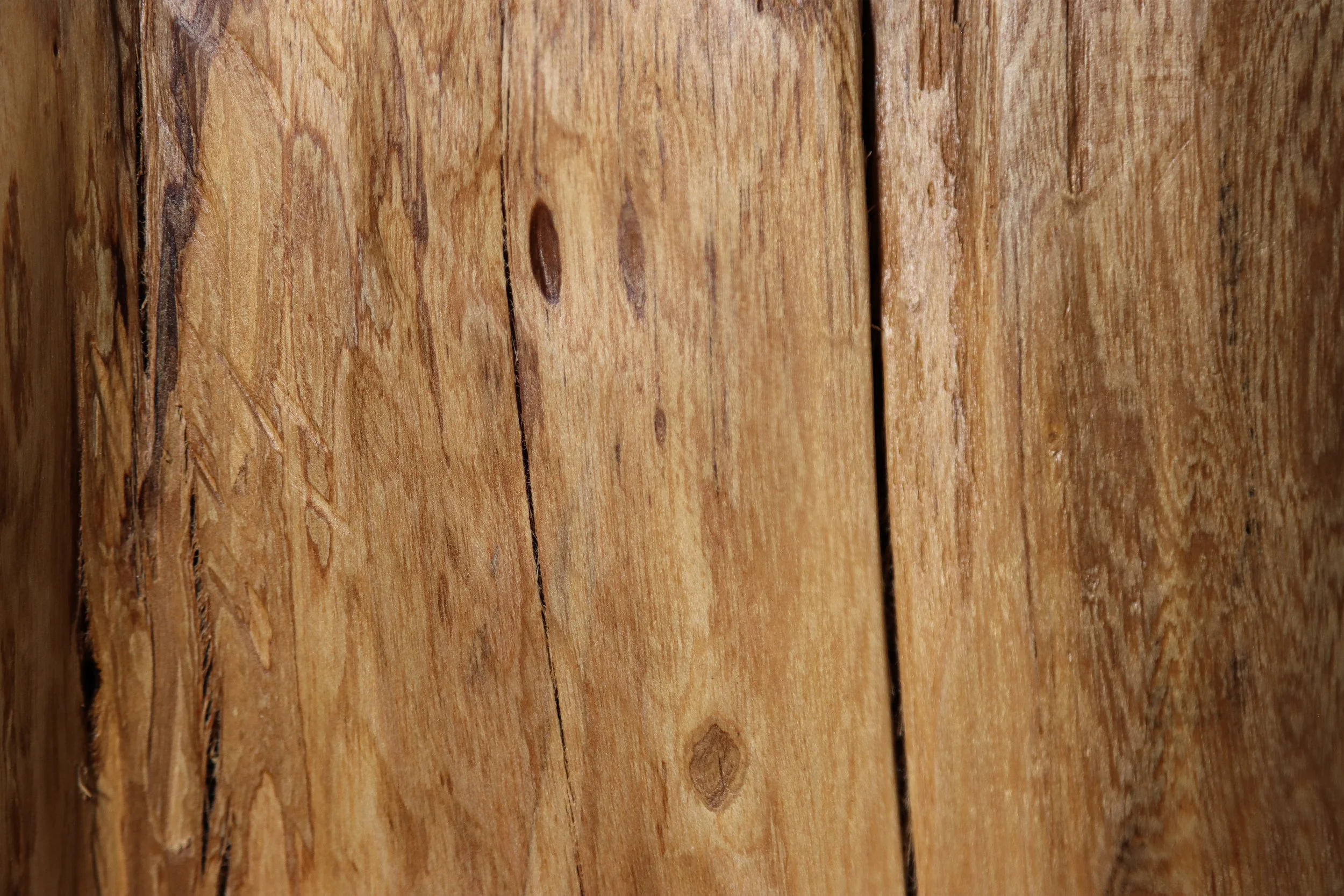 Francisco f48 by Costantini 11.jpg