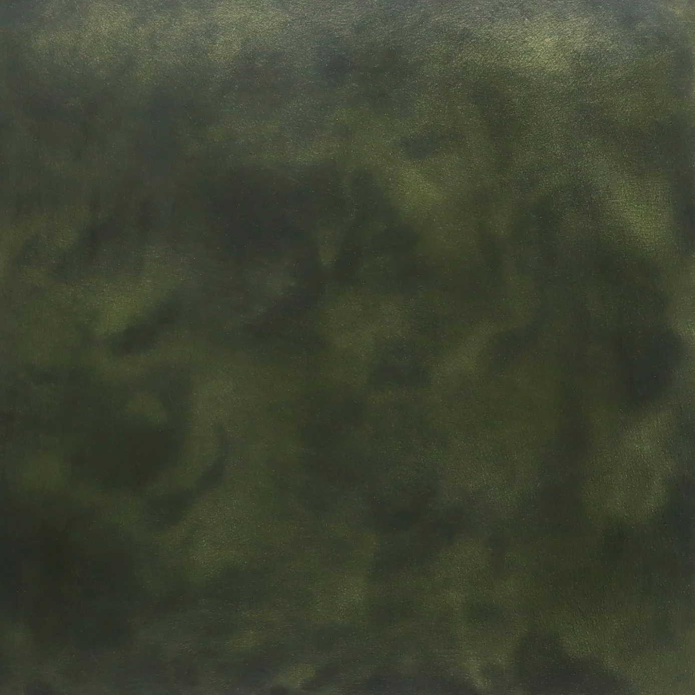 Patinated Bronze medium from Costantini 00.jpg