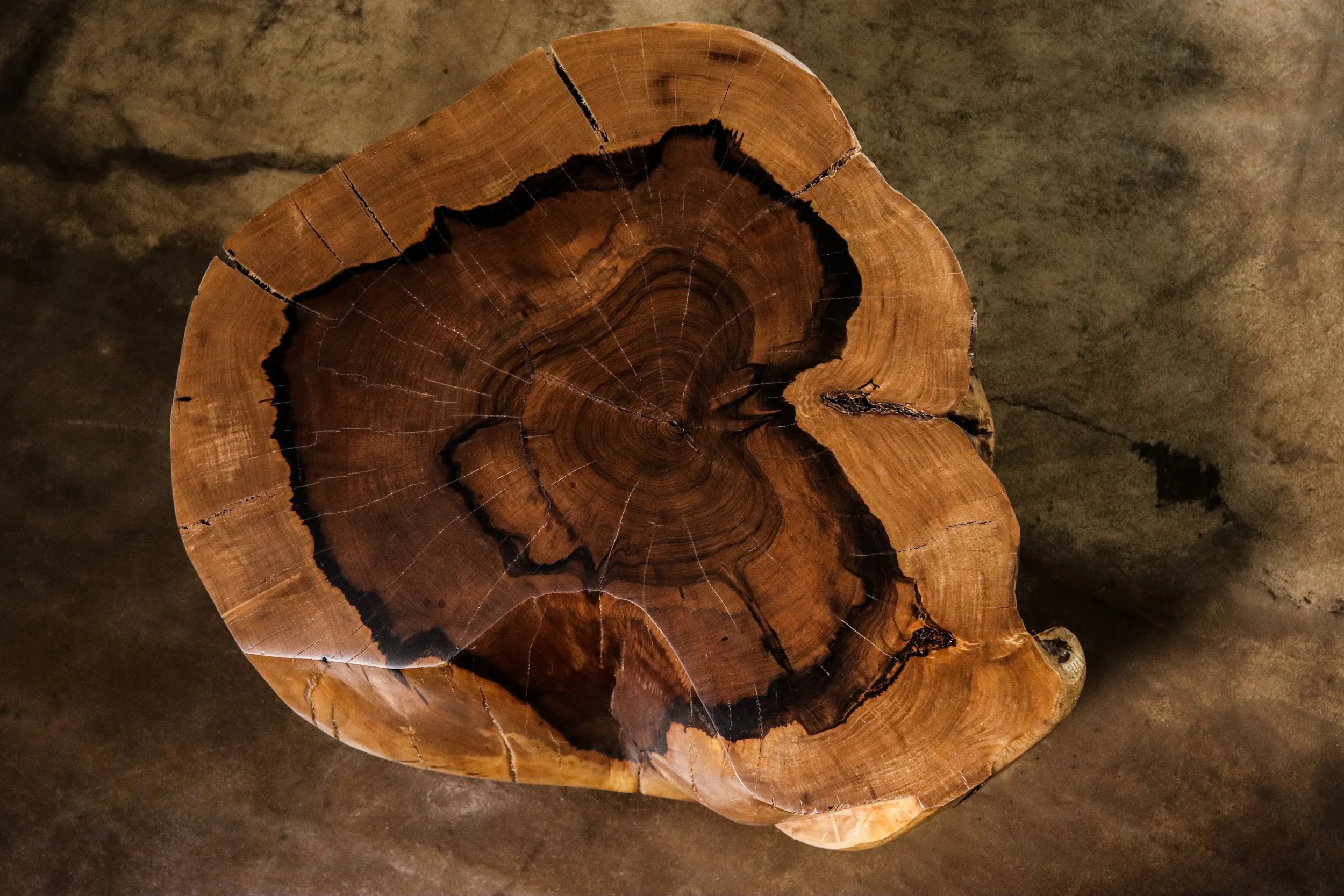 Francisco f49 by Costantini 10.jpg