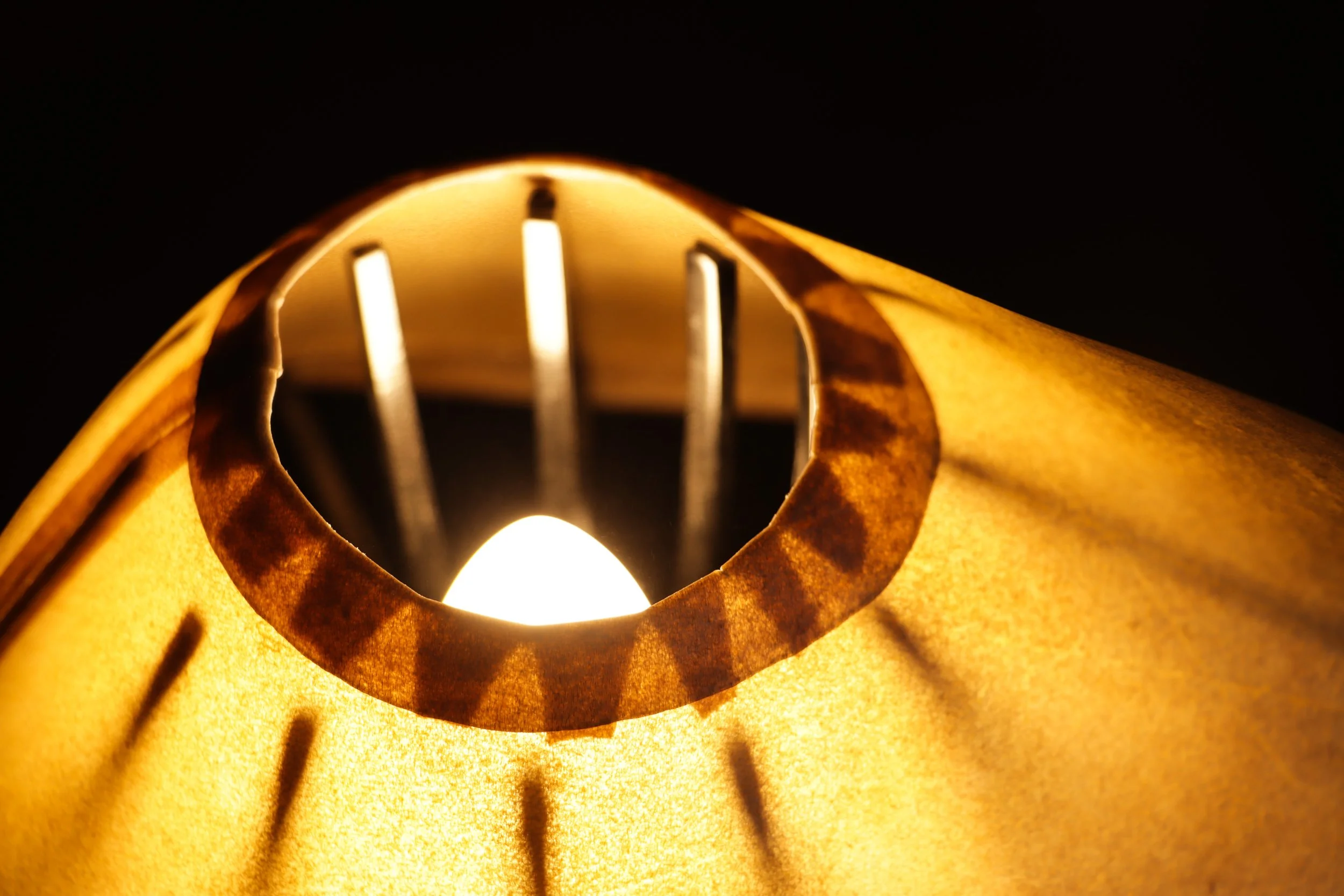 Ursa Minor for Studio KER by Costantini 09.jpg