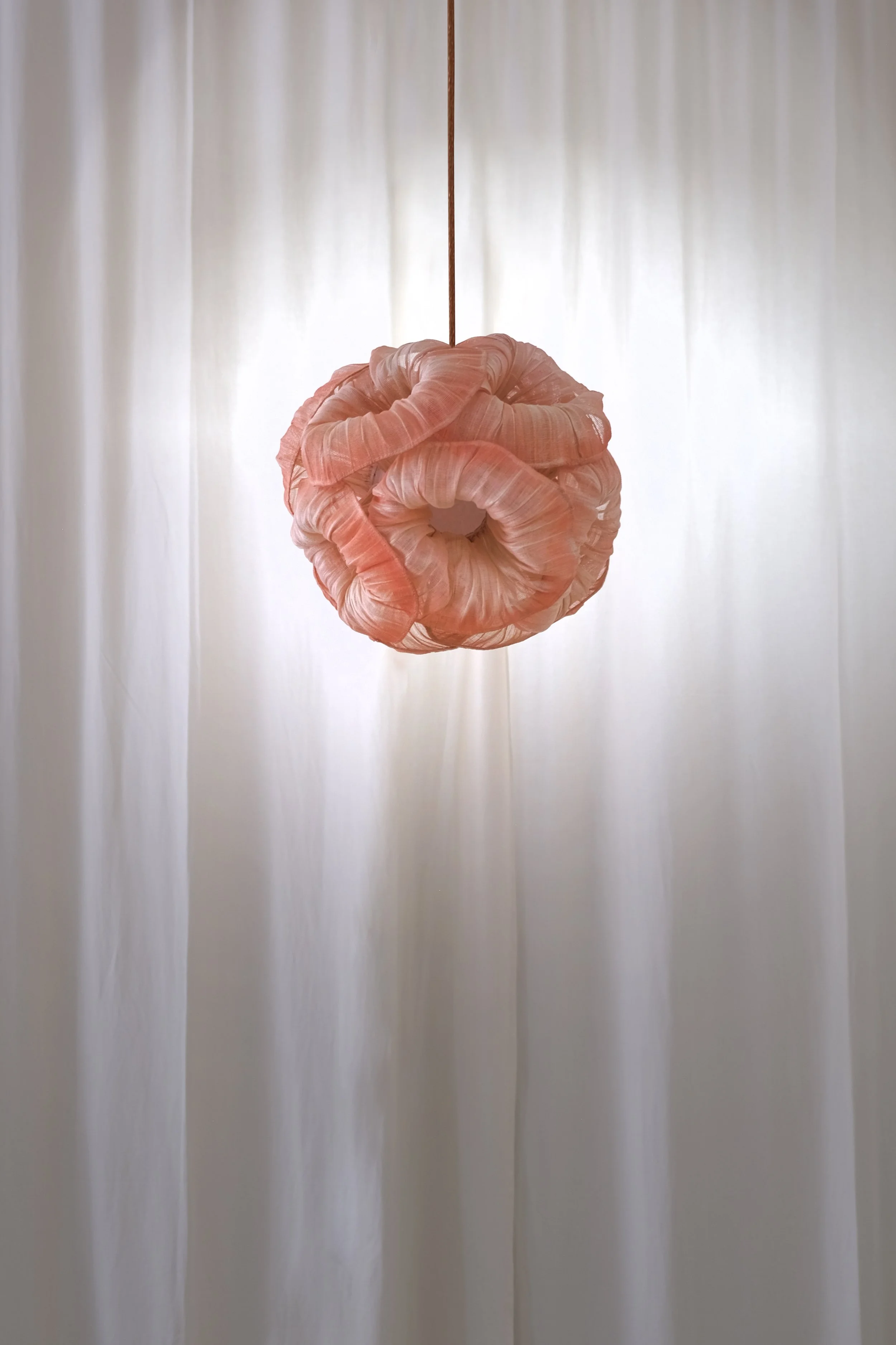 Anemone 35 Popsicle Handpainted by Mirei Monticelli 02.jpg