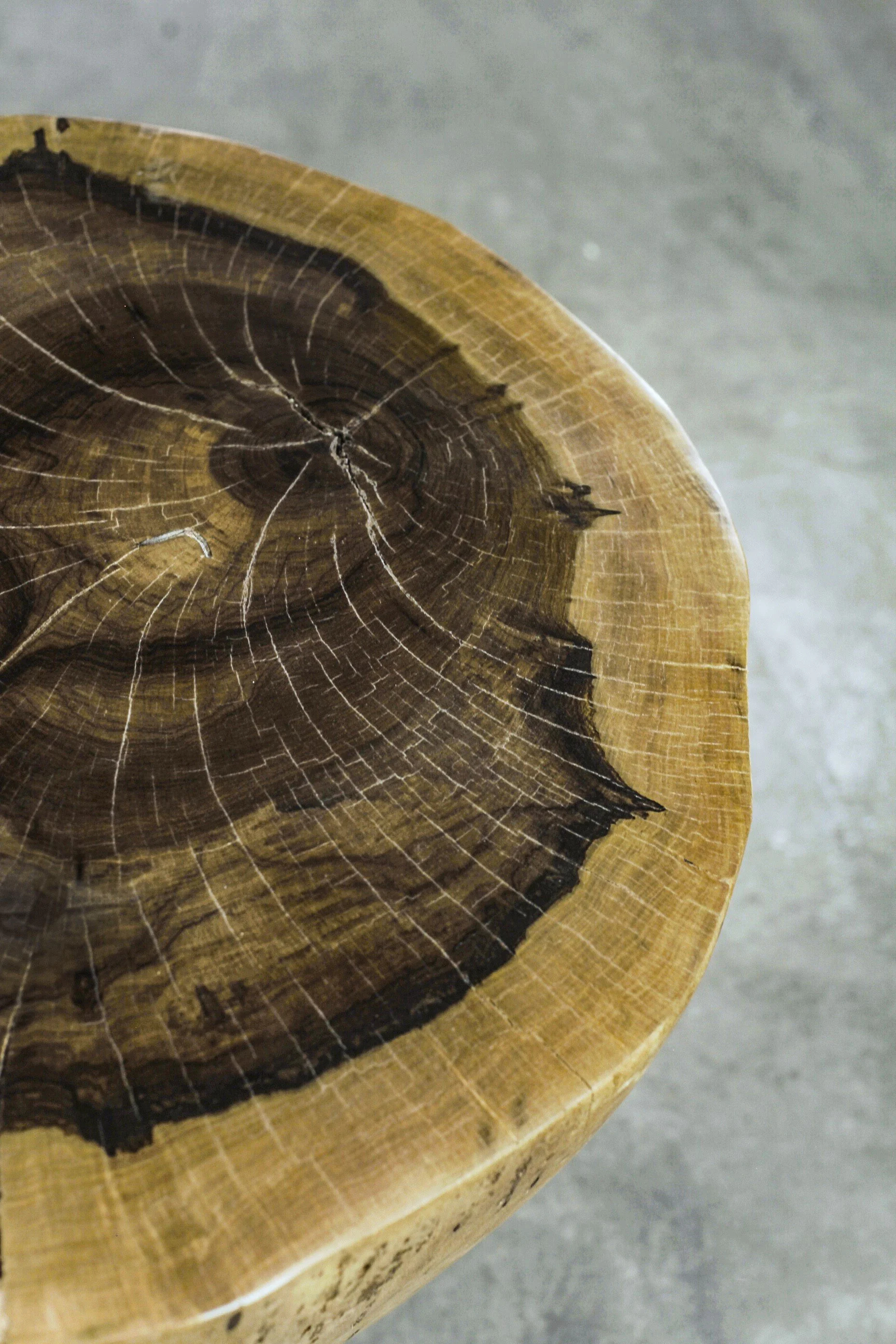 ƒ 16 D25,39”H19,88” 06.jpg