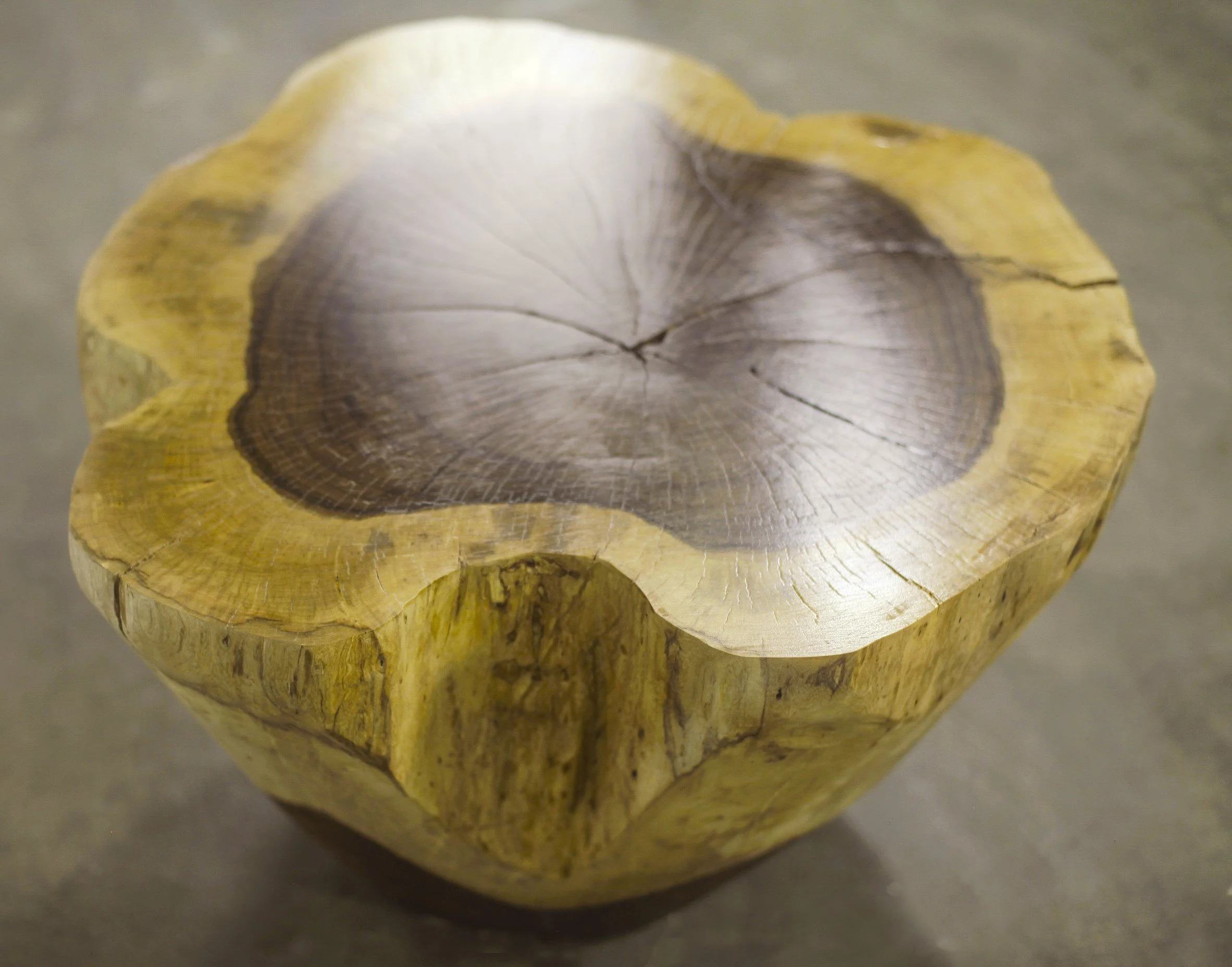 Francisco Live Edge Trunk Table ƒ 3 by Costantini 02.jpg