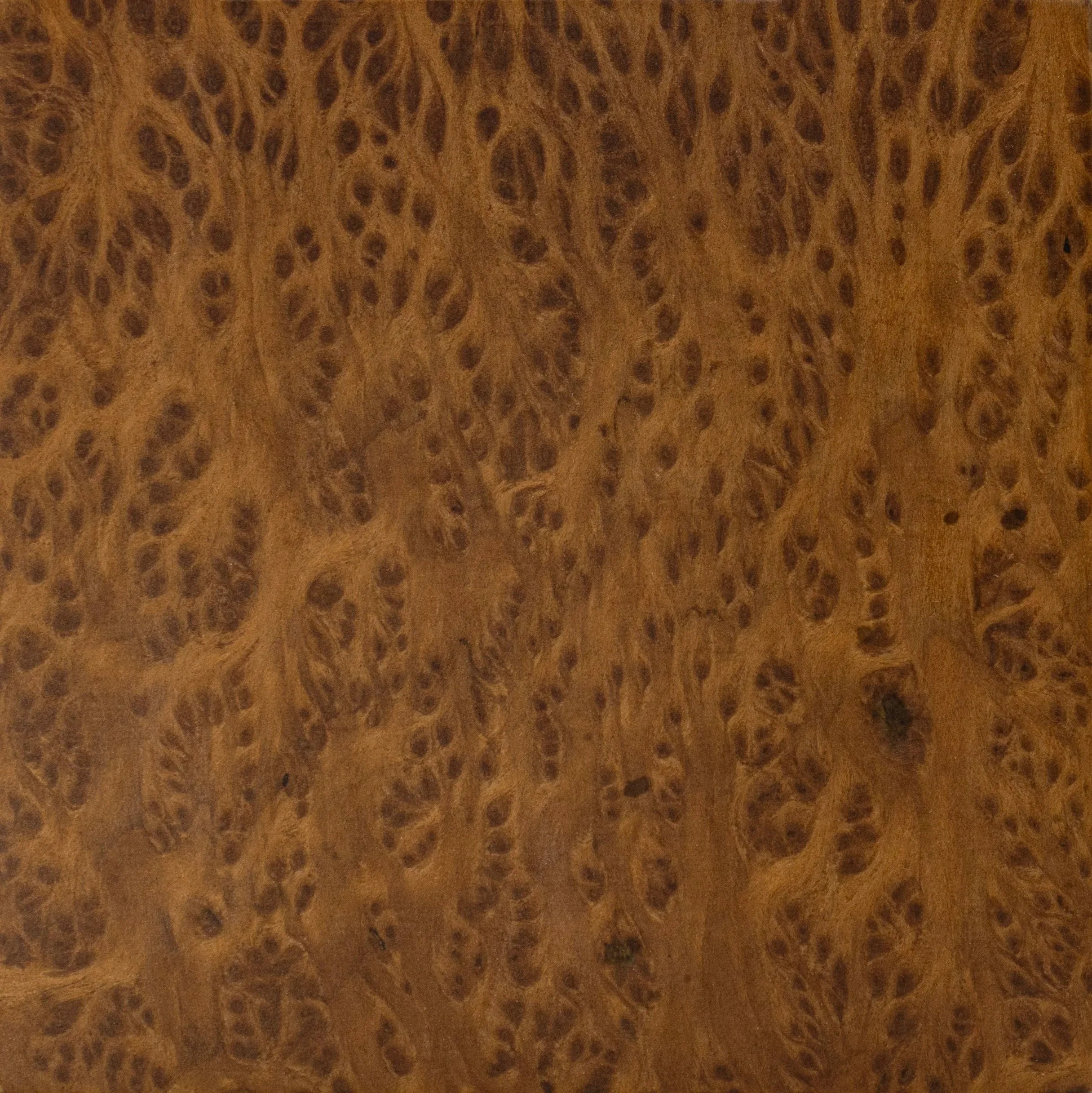 imgi_17_Walnut+Burl+Sample+by+Costantini+00.jpg