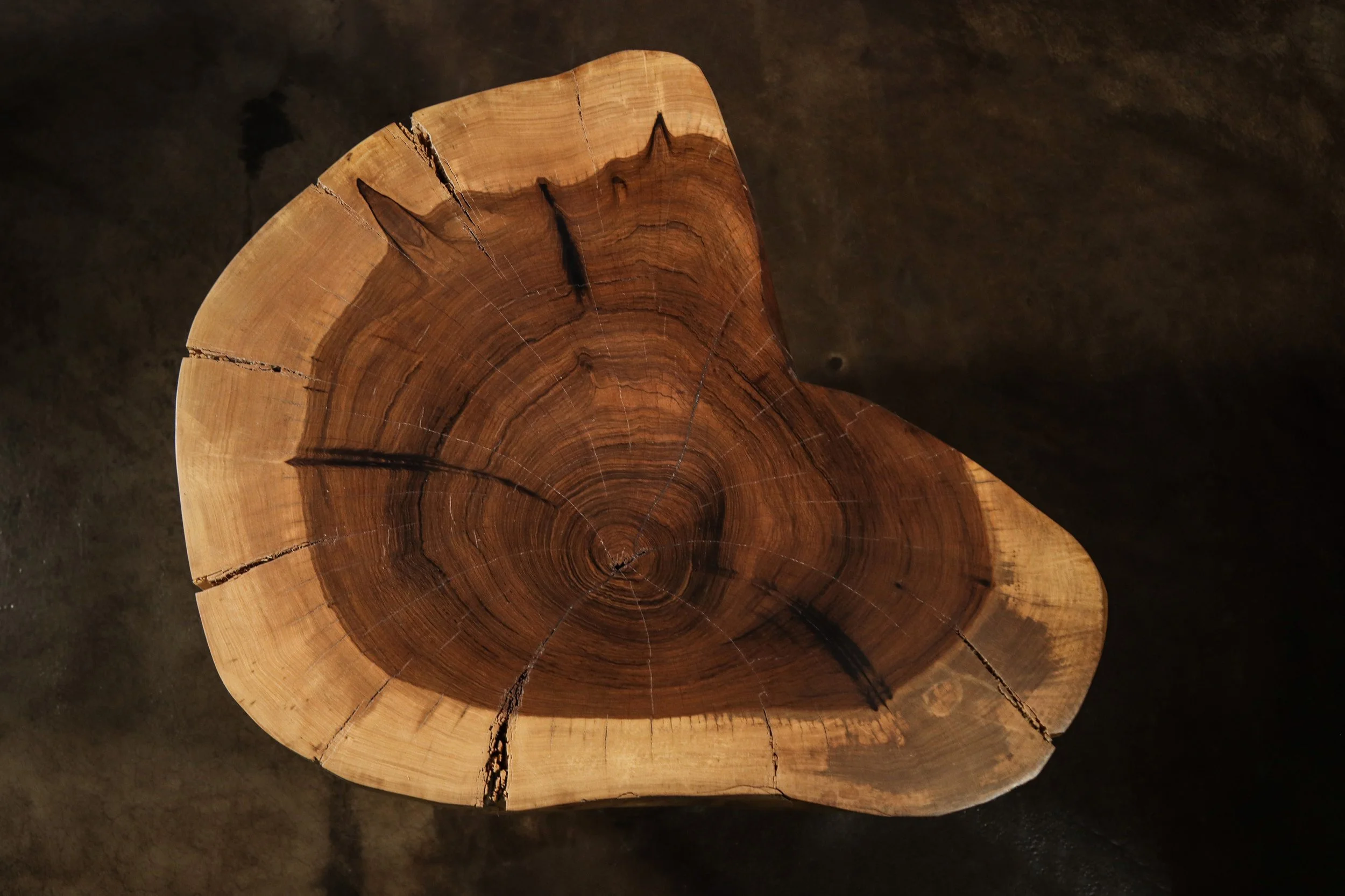 Francisco f47 by Costantini 06.jpg