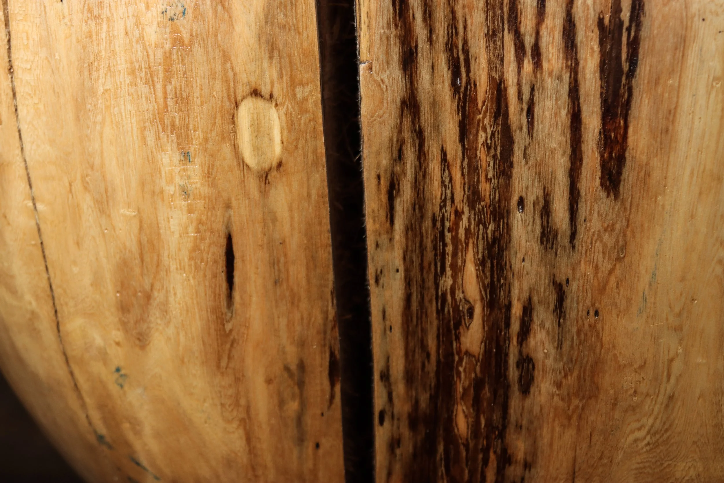 Francisco f44 by Costantini 12.jpg