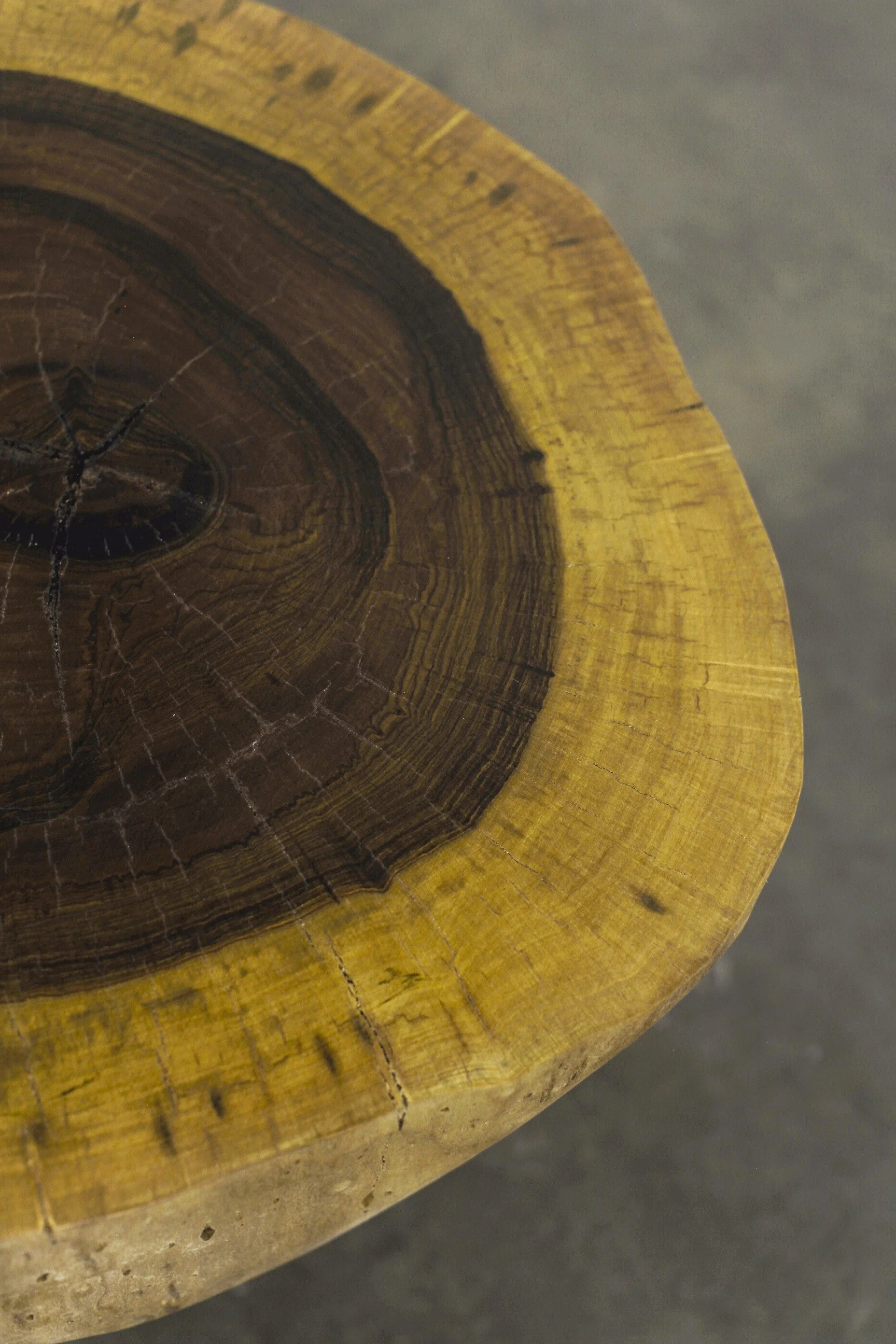 Francisco Live Edge Trunk Table ƒ 4 by Costantini 03.jpg