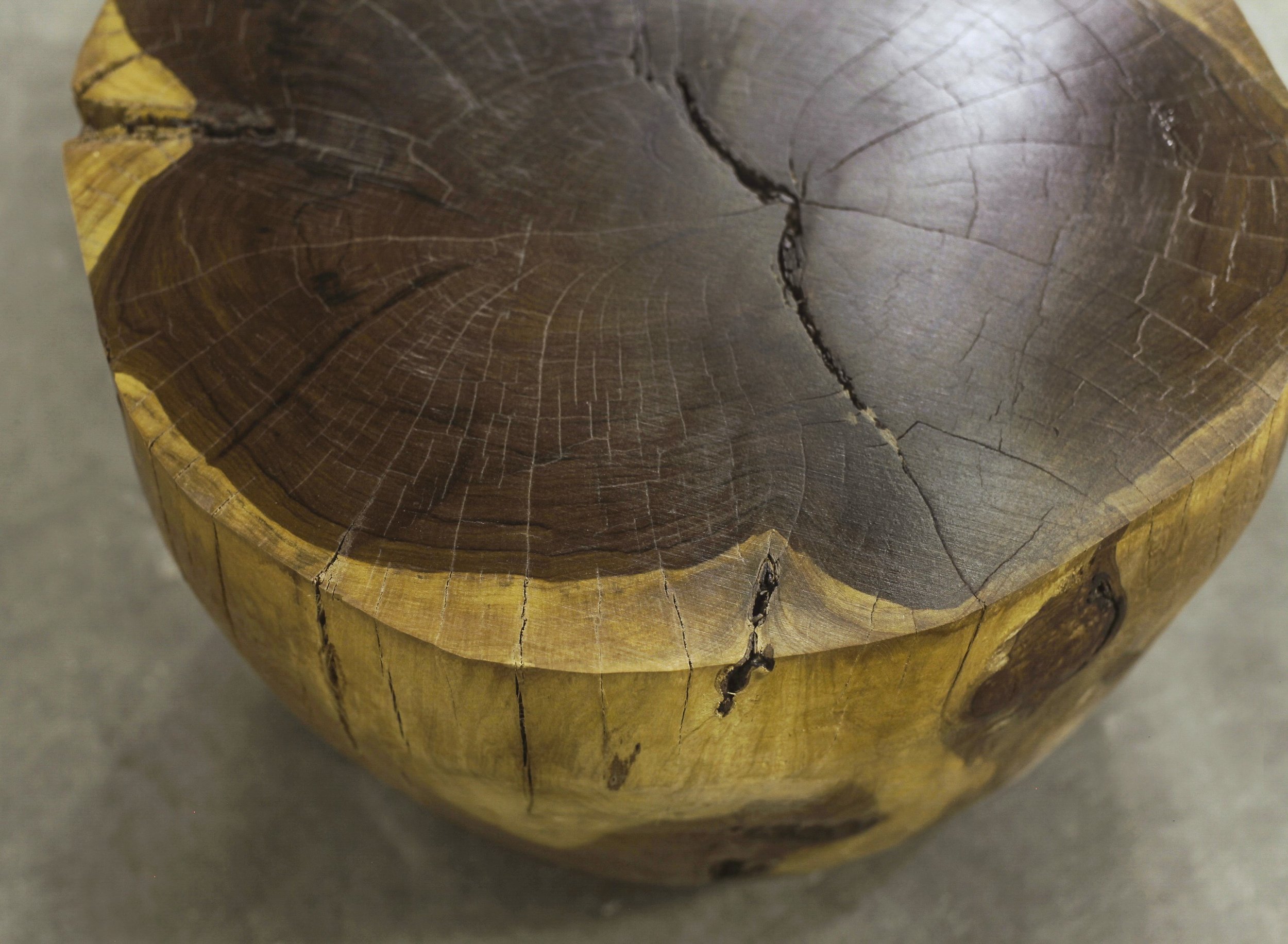Francisco Live Edge Trunk Table ƒ 6 by Costantini 06.jpg