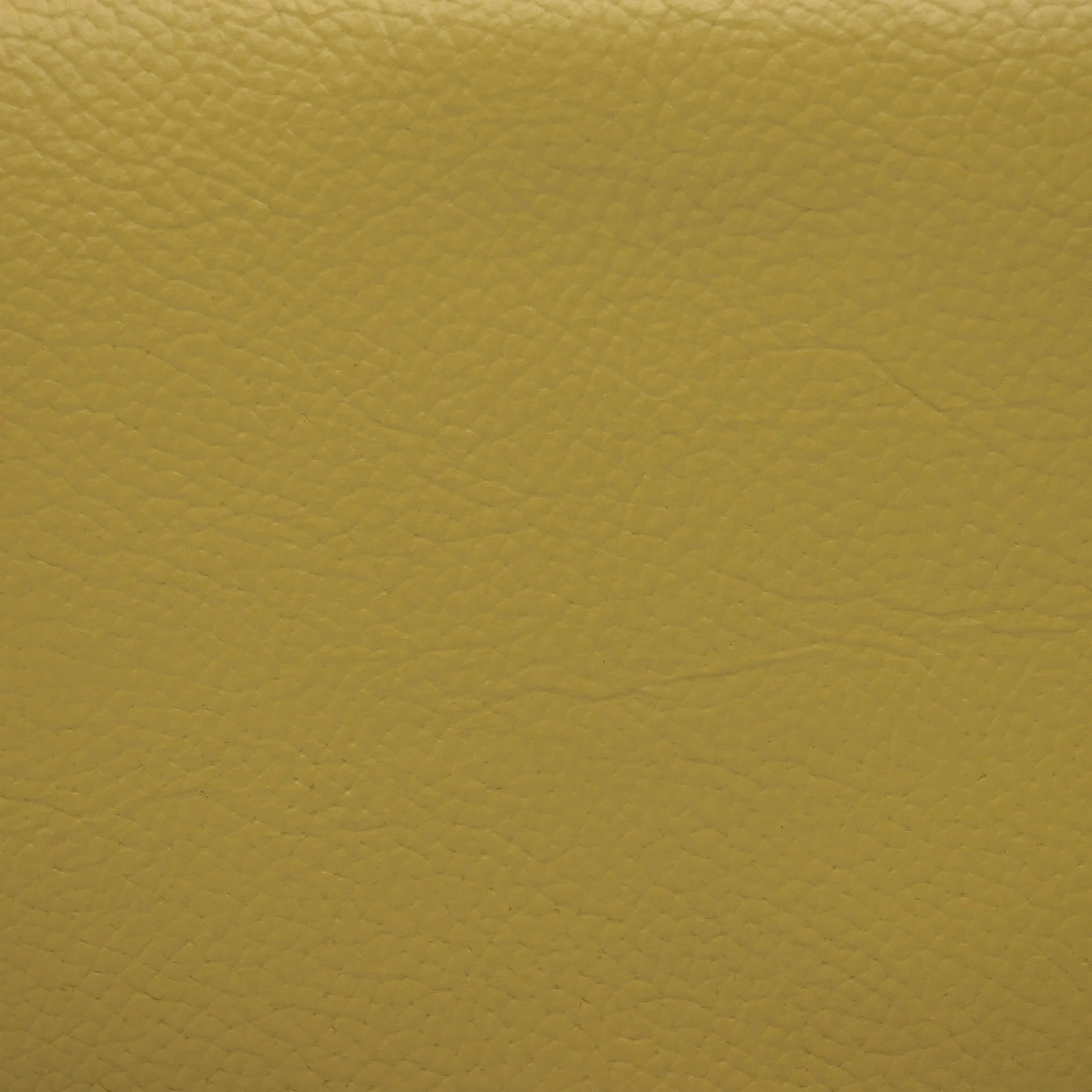 imgi_19_Antartica+Vainilla+Leather+Sample+by+Costantini+00.jpg