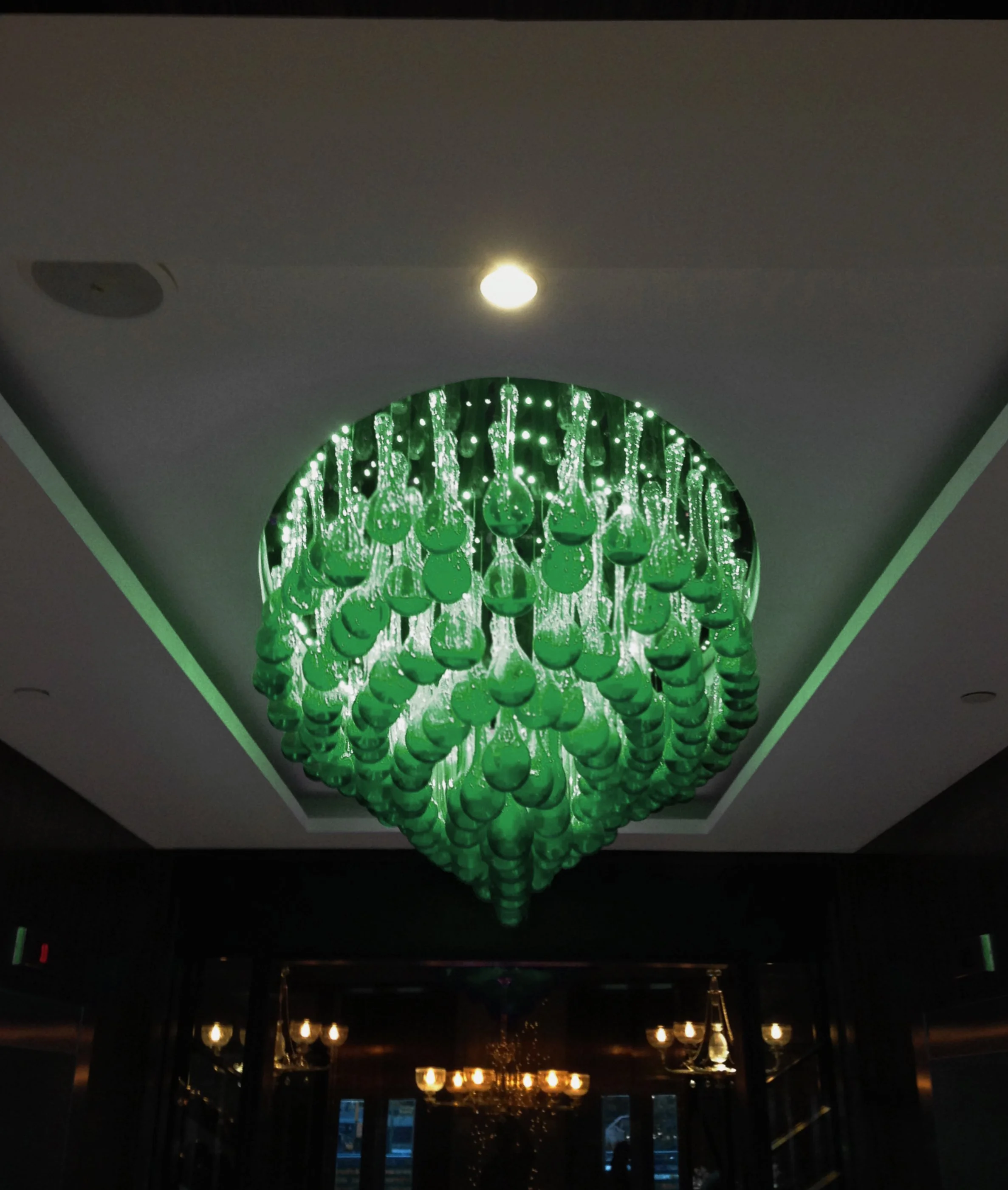 Raffaela Hand Blown Glass and Steel Chandelier with LED 03.jpg