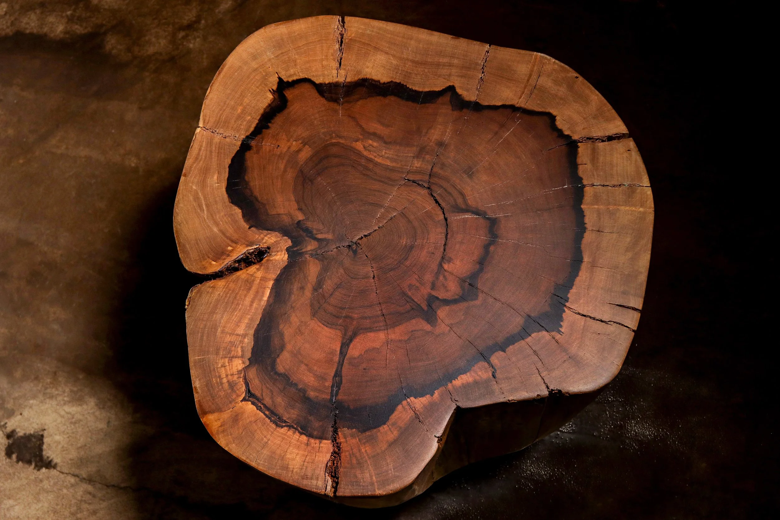 Francisco f48 by Costantini 06.jpg