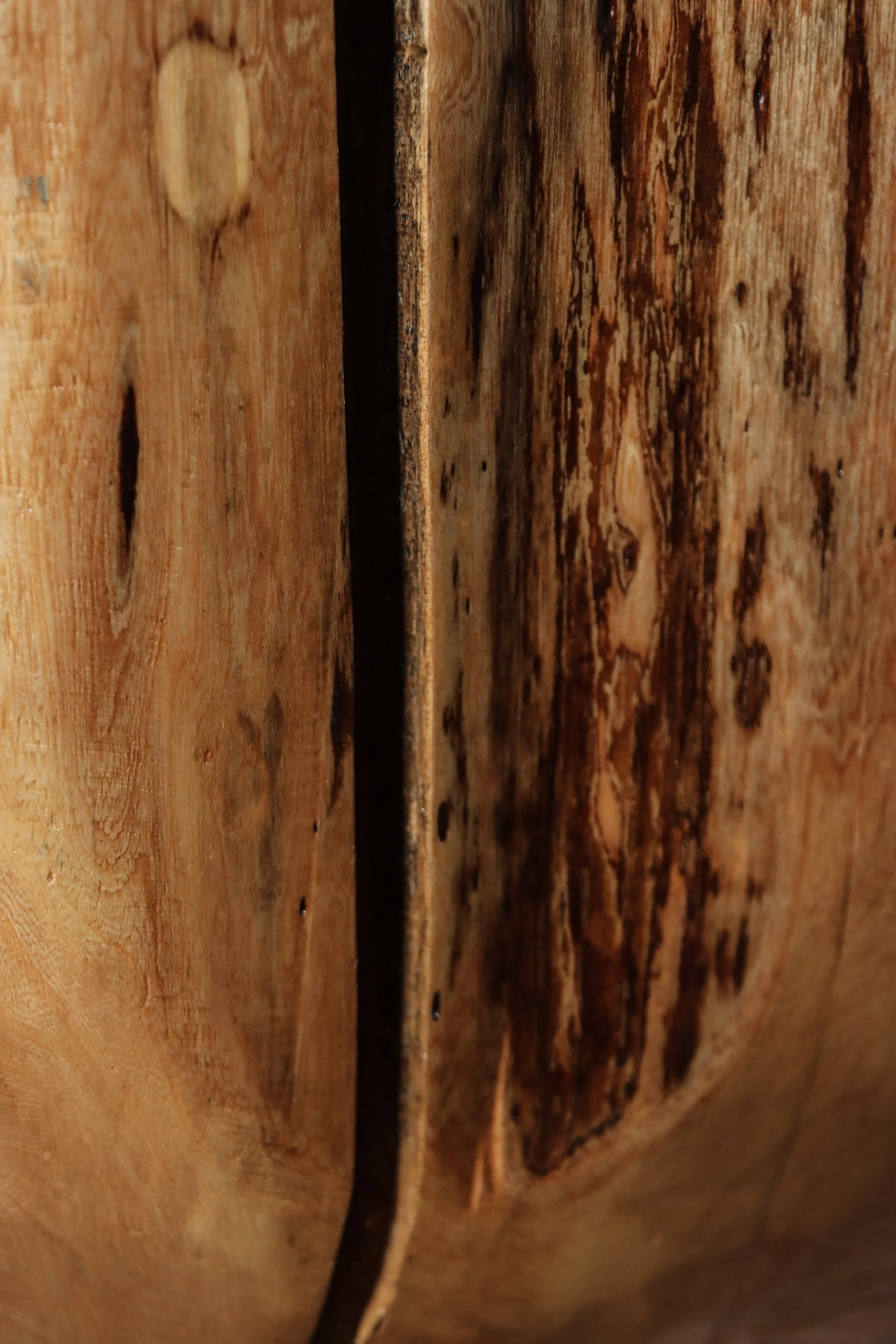 Francisco f44 by Costantini 14.jpg