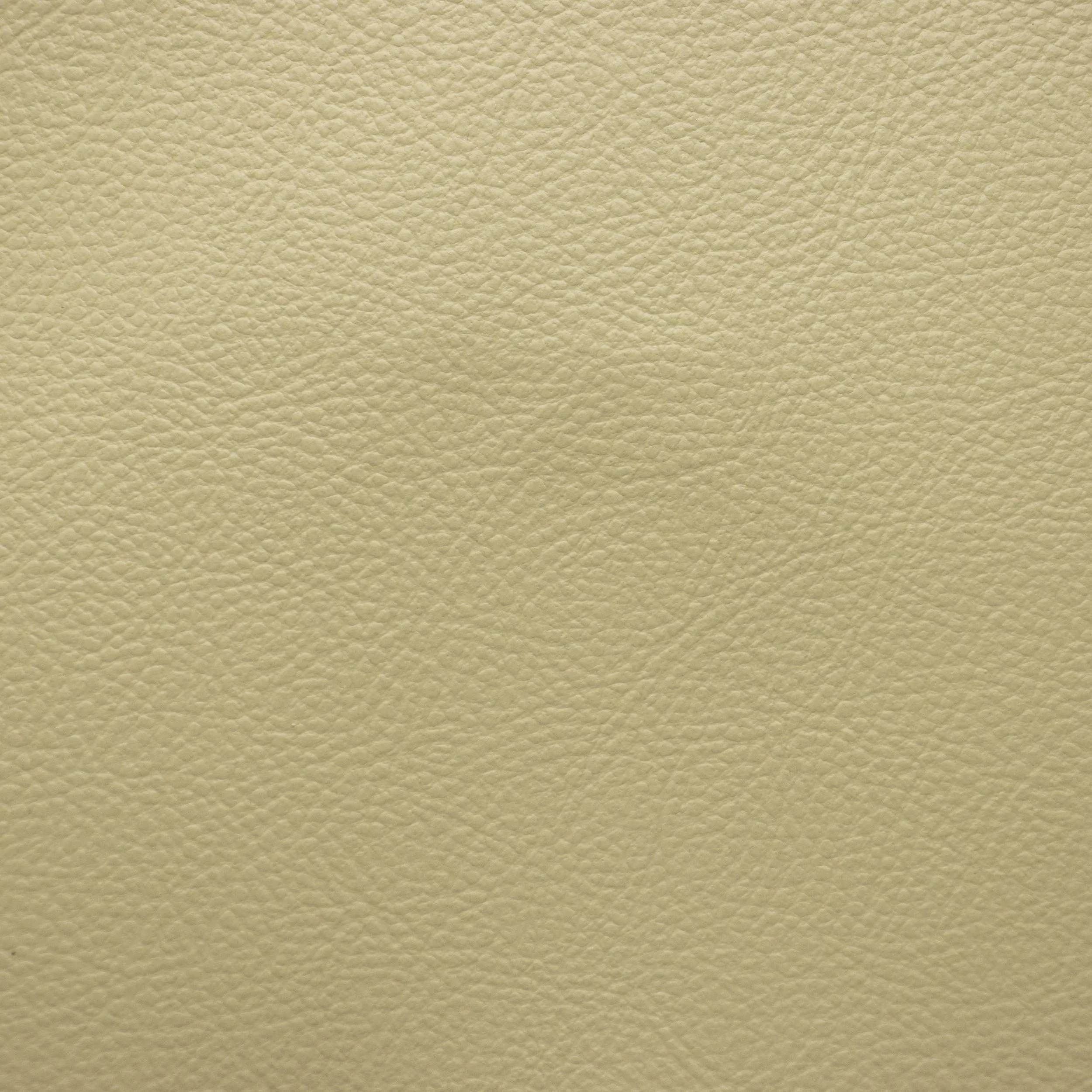 Abruzzo Cream Leather Sample by Costantini 00.jpg