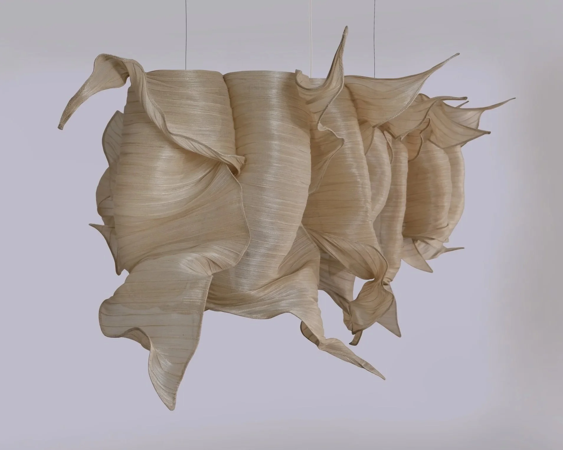 DSCF6796.jpg
