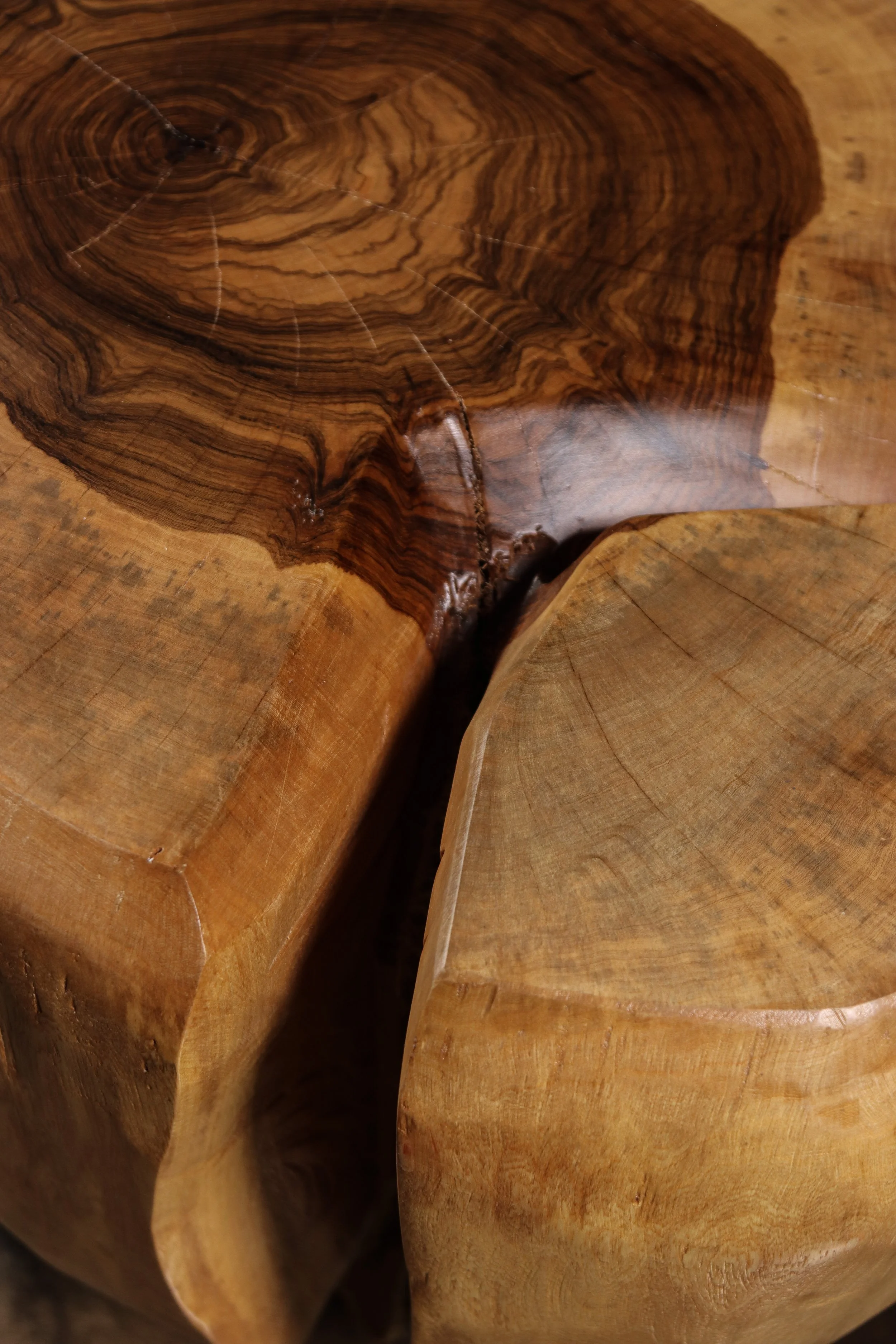 Francisco f44 by Costantini 13.jpg