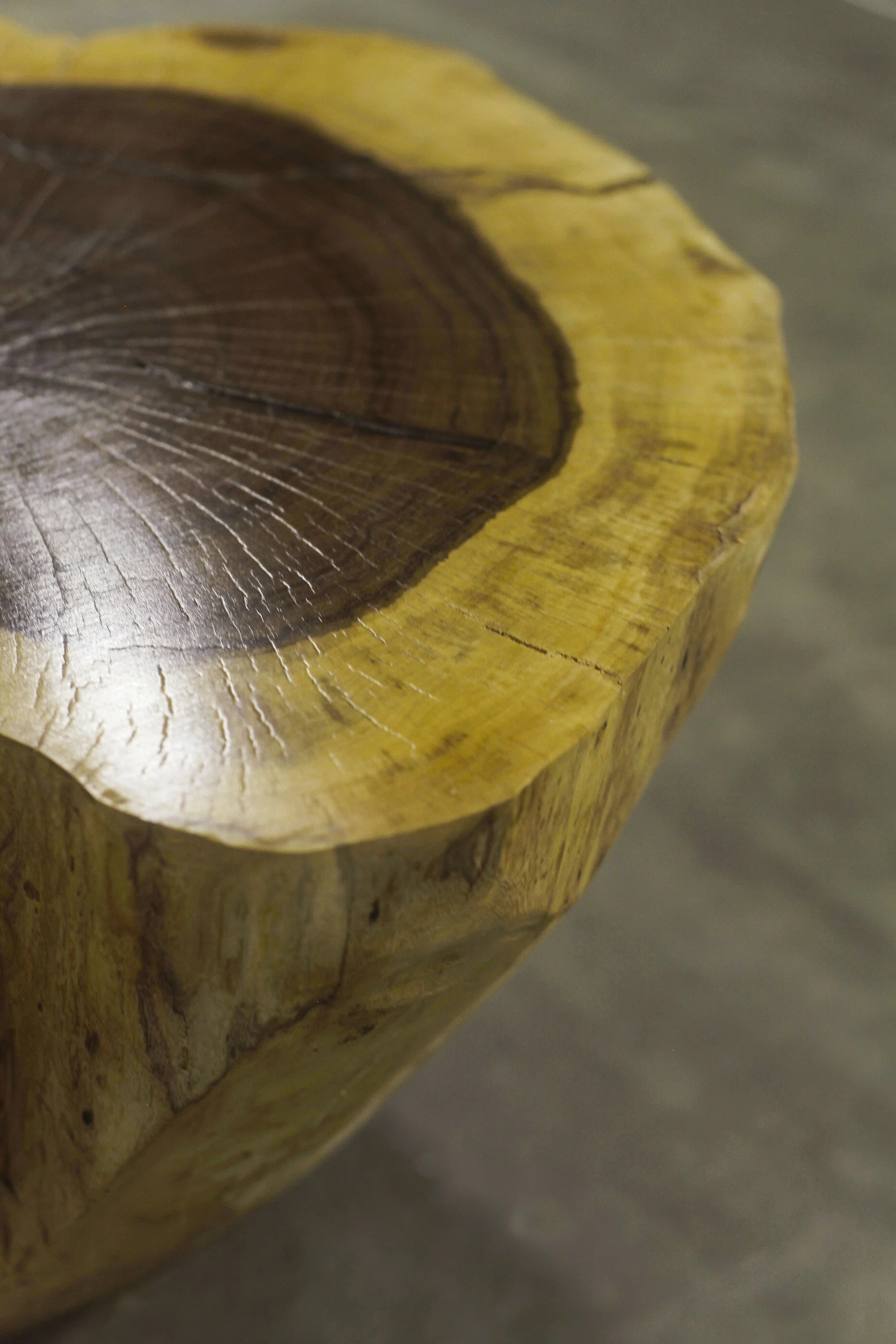 Francisco Live Edge Trunk Table ƒ 3 by Costantini 05.jpg