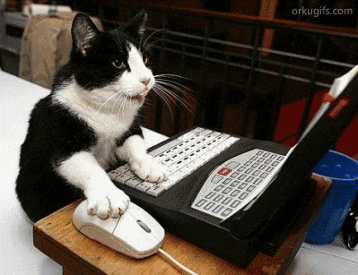a moving image (gif) of a cat moving thier mouse around