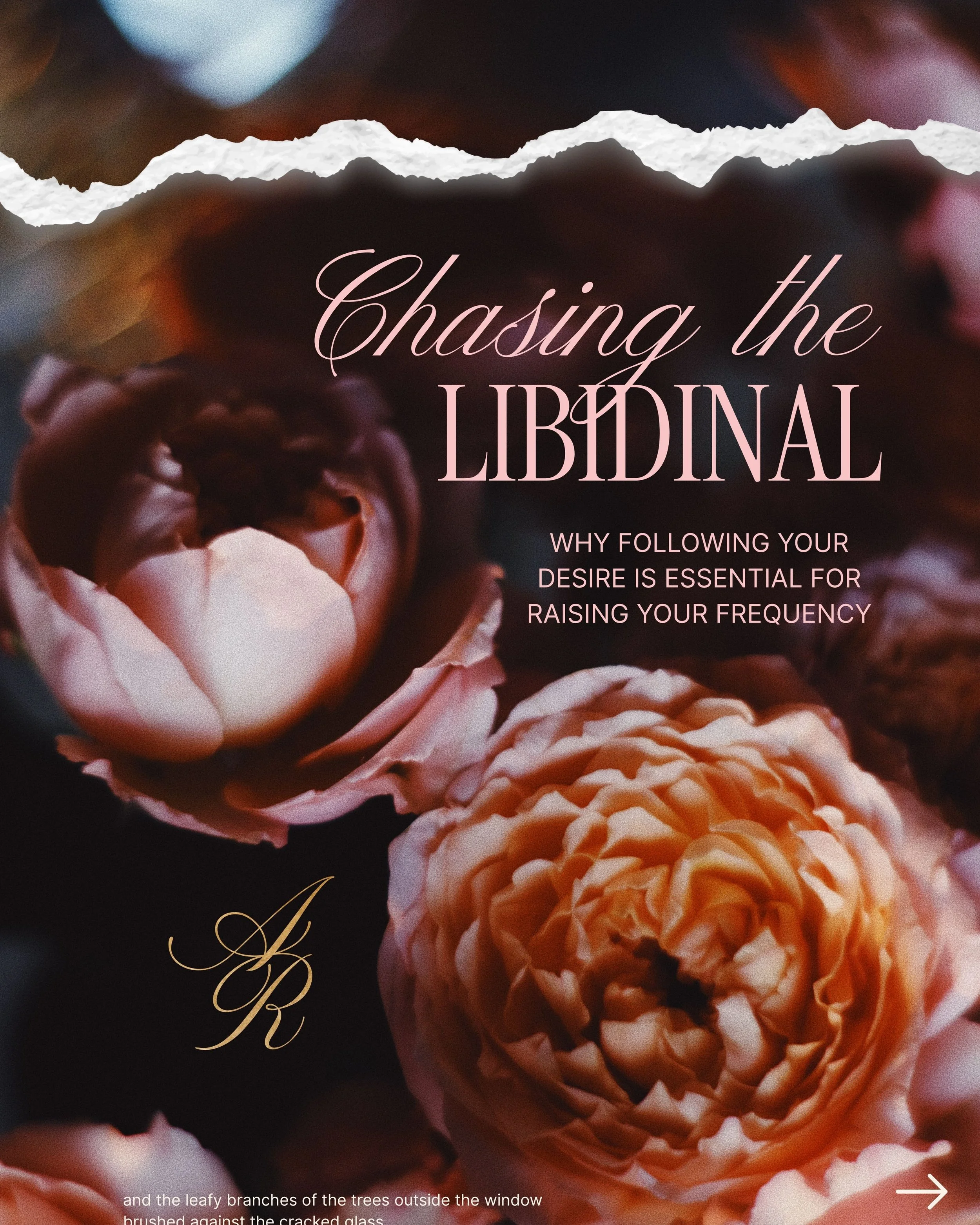 chasing the libidinal &amp; the awakening of your inner goddess</span>