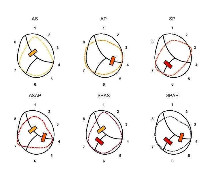 A sample dataset set representing forces measured at each point.
