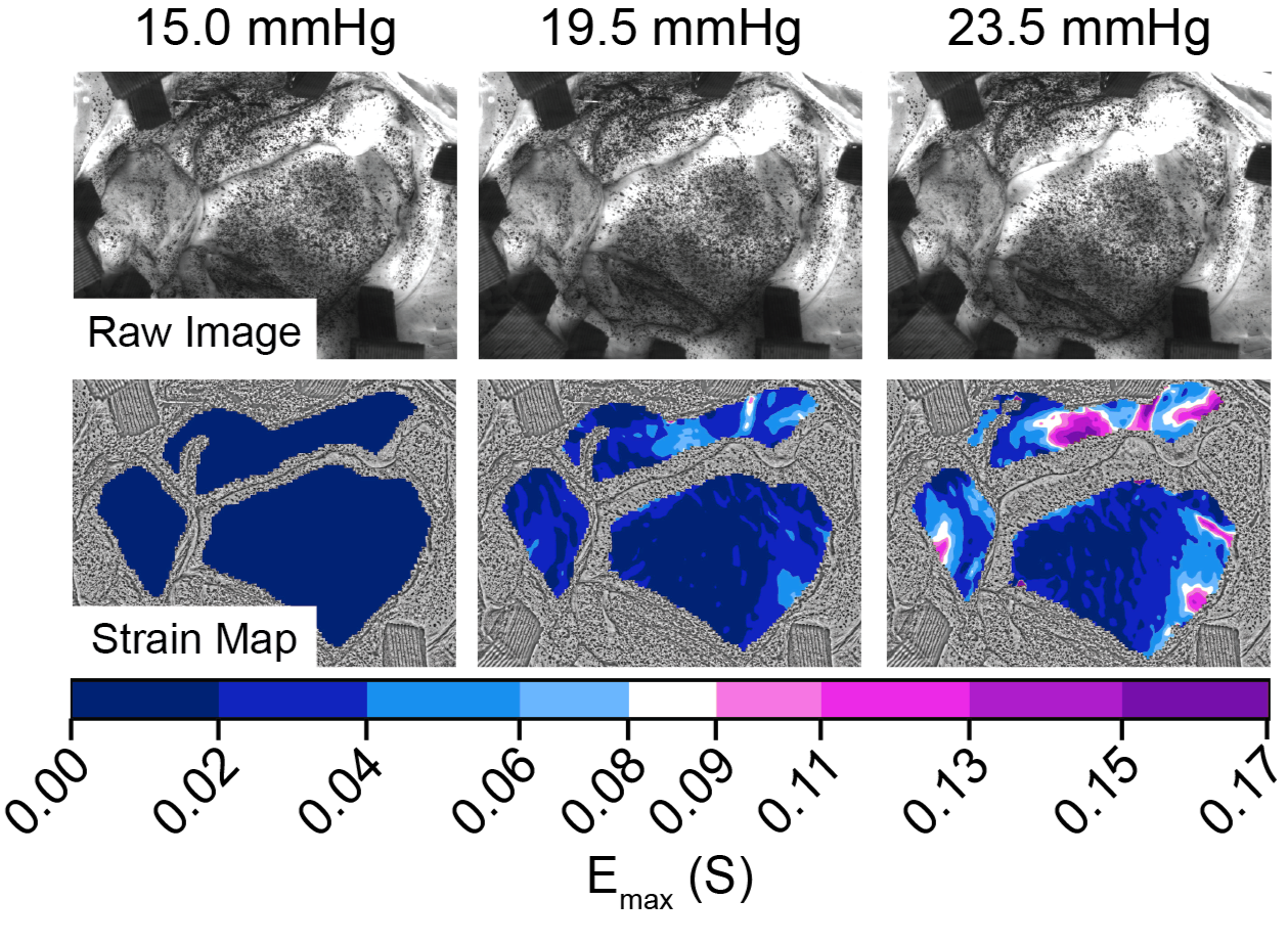 Sequential stain map from a sample data set.