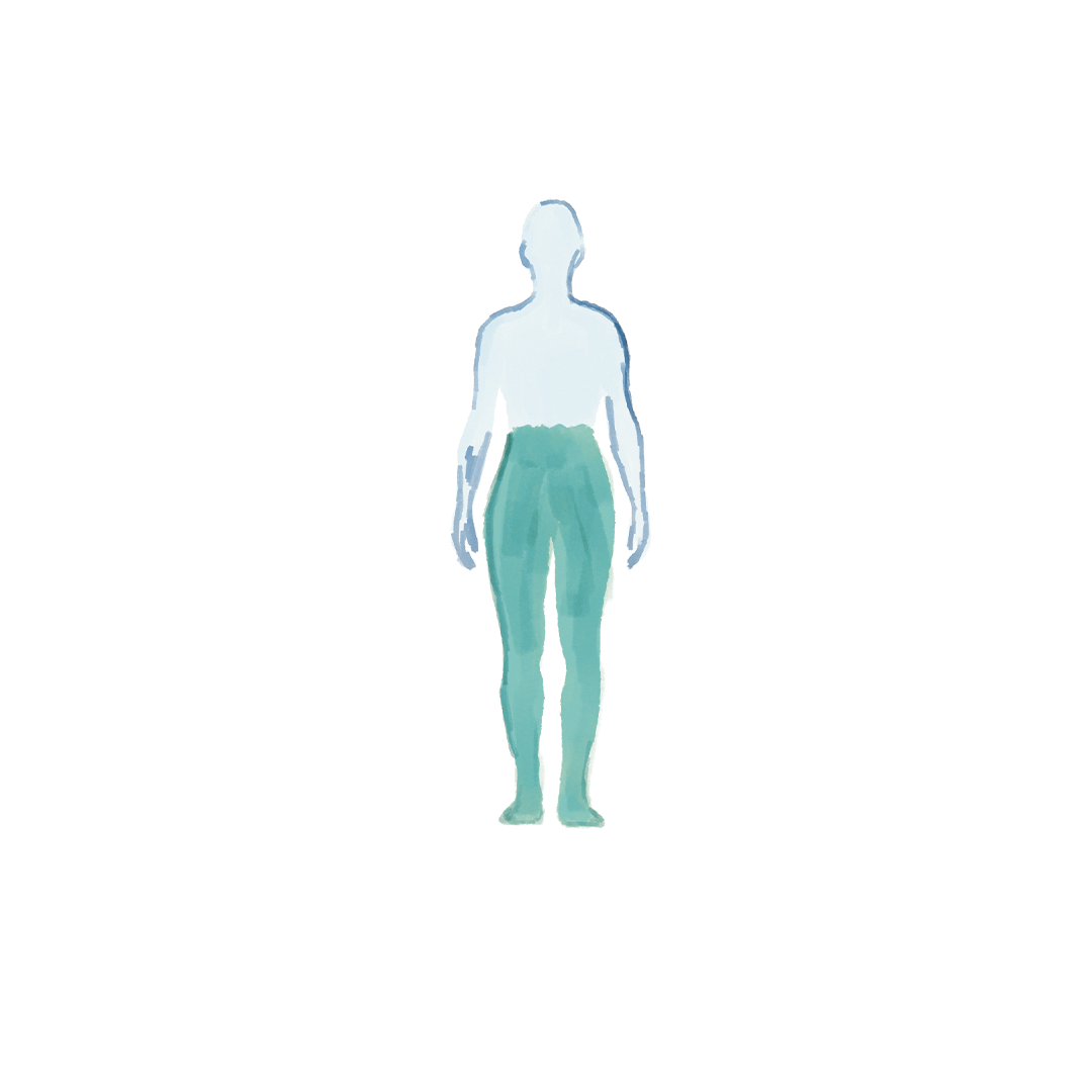 A cartoon-style illustration of a human figure with labels marking the head, neck, shoulders, chest, waist, hips, thighs, knees, calves, ankles, and feet.
