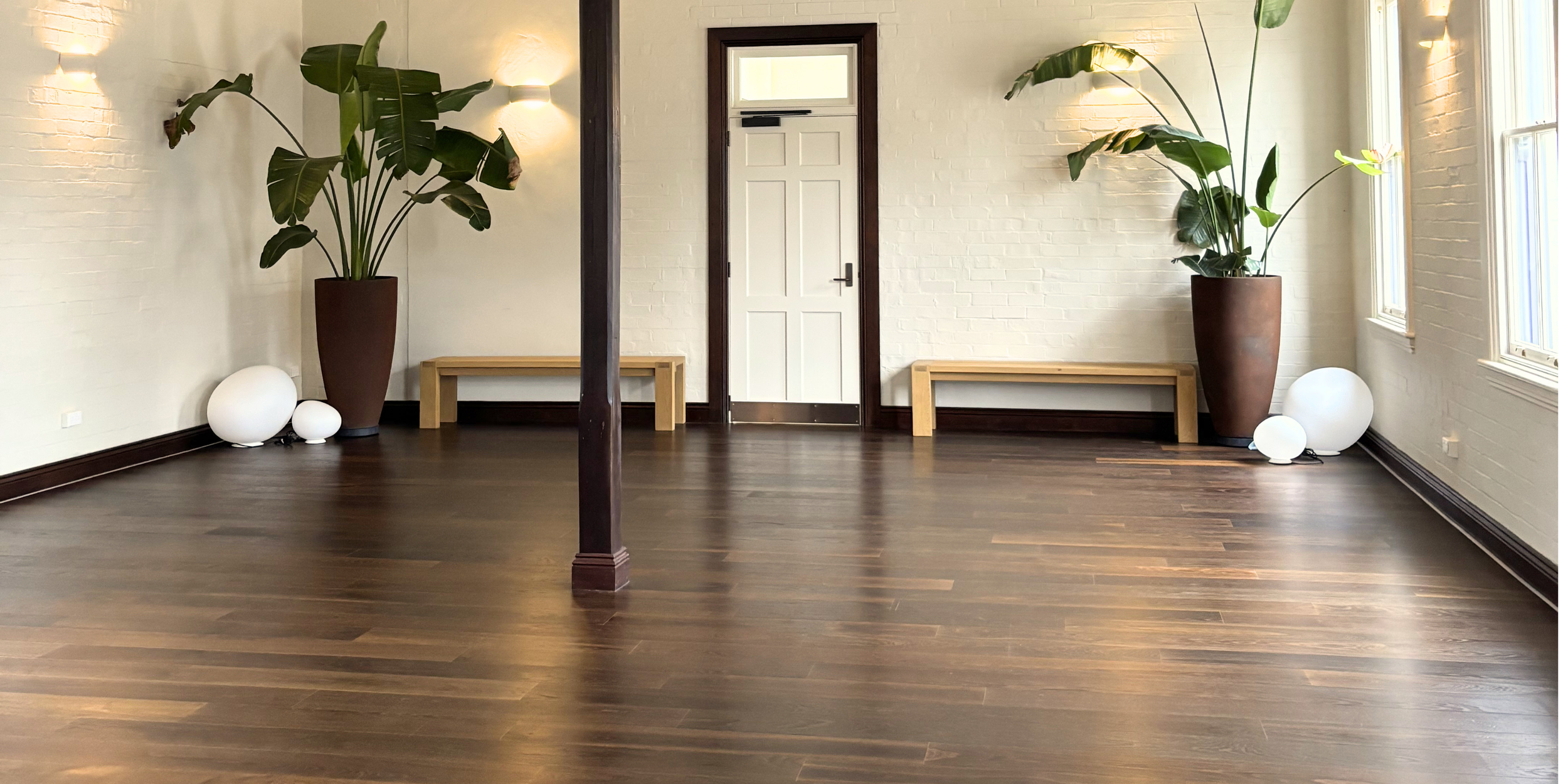 A spacious room with dark hardwood floors, white brick walls, large windows, and minimal decor. There are two tall potted plants with large green leaves in brown planters, white benches, and decorative white spherical lamps on the floor near the walls.