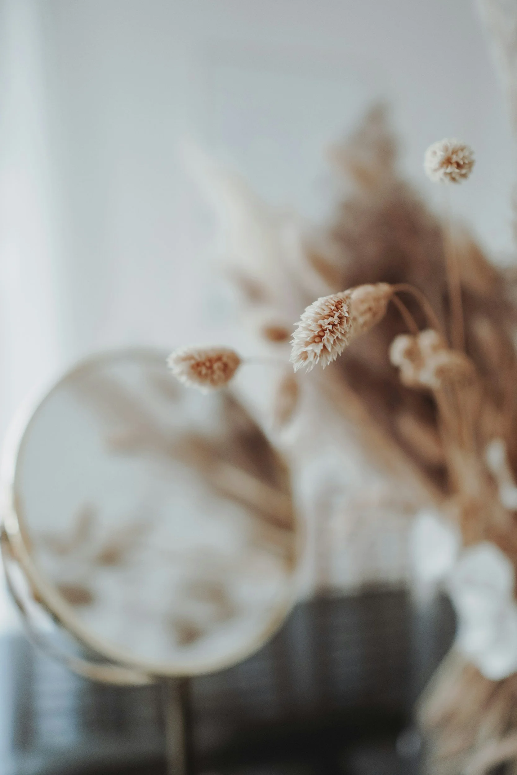 Close-up of dried beige flowers in a white vase with a round mirror reflecting the flowers.
