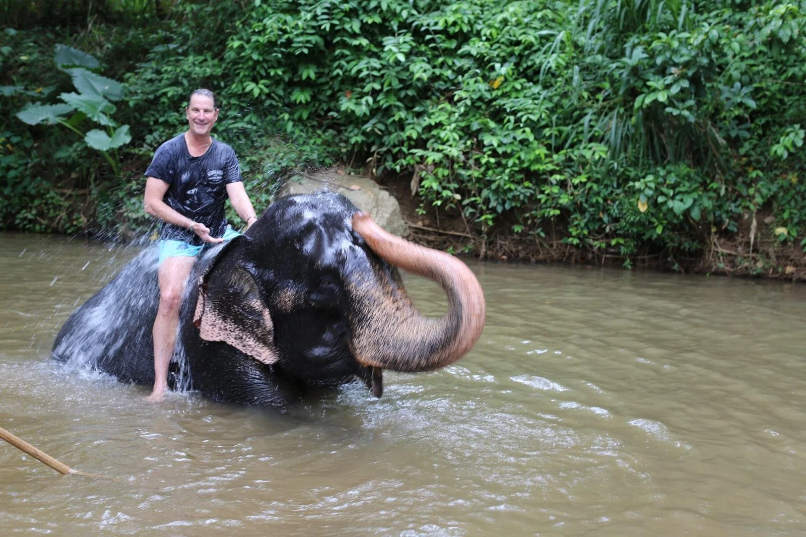 A man riding an elephant in a river surrounded by green vegetation.