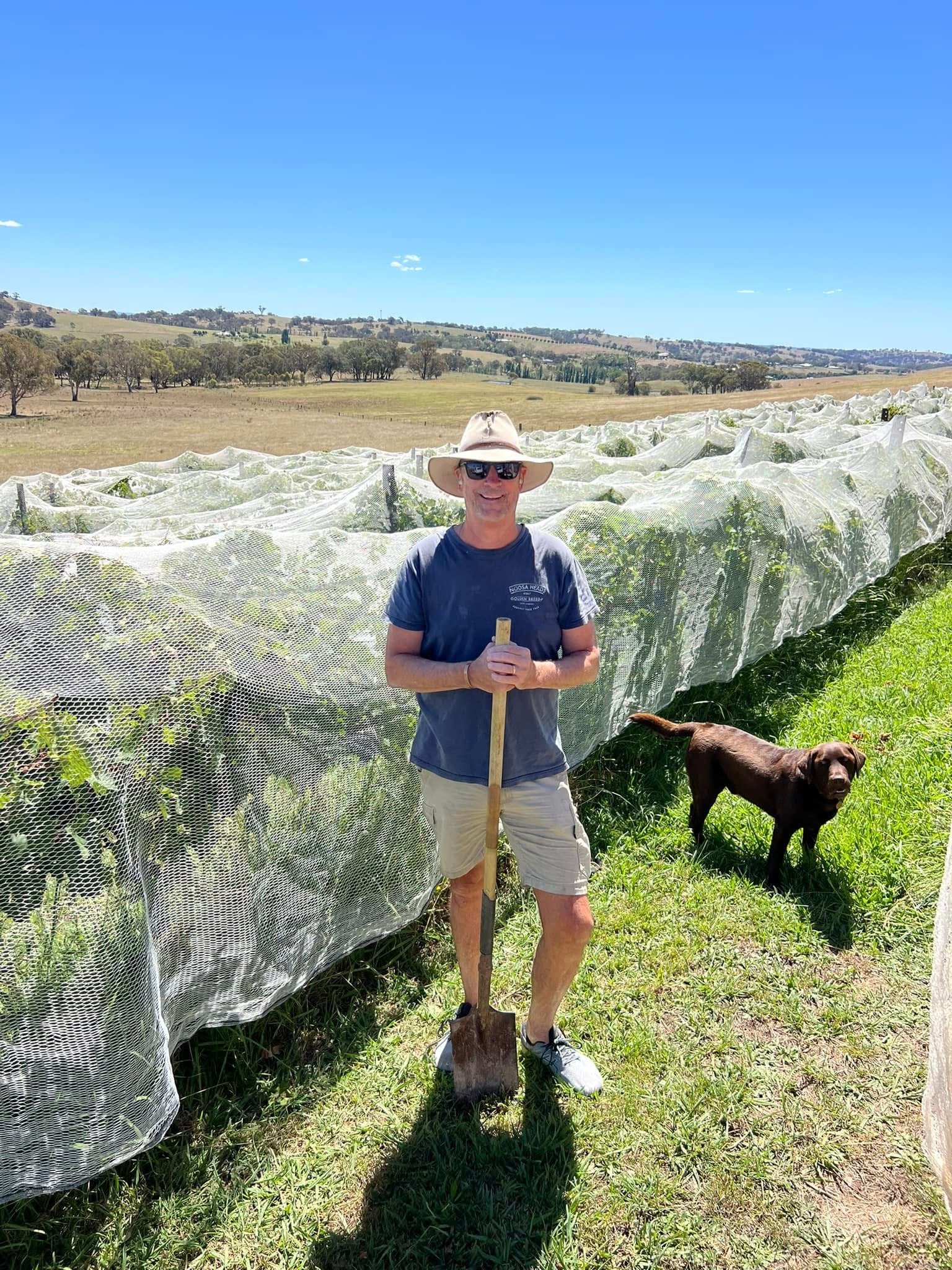 A person in a wide-brimmed hat, sunglasses, and casual clothing holding a shovel, standing on green grass next to a brown dog, with a background of fields covered with white netting, under a bright blue sky.