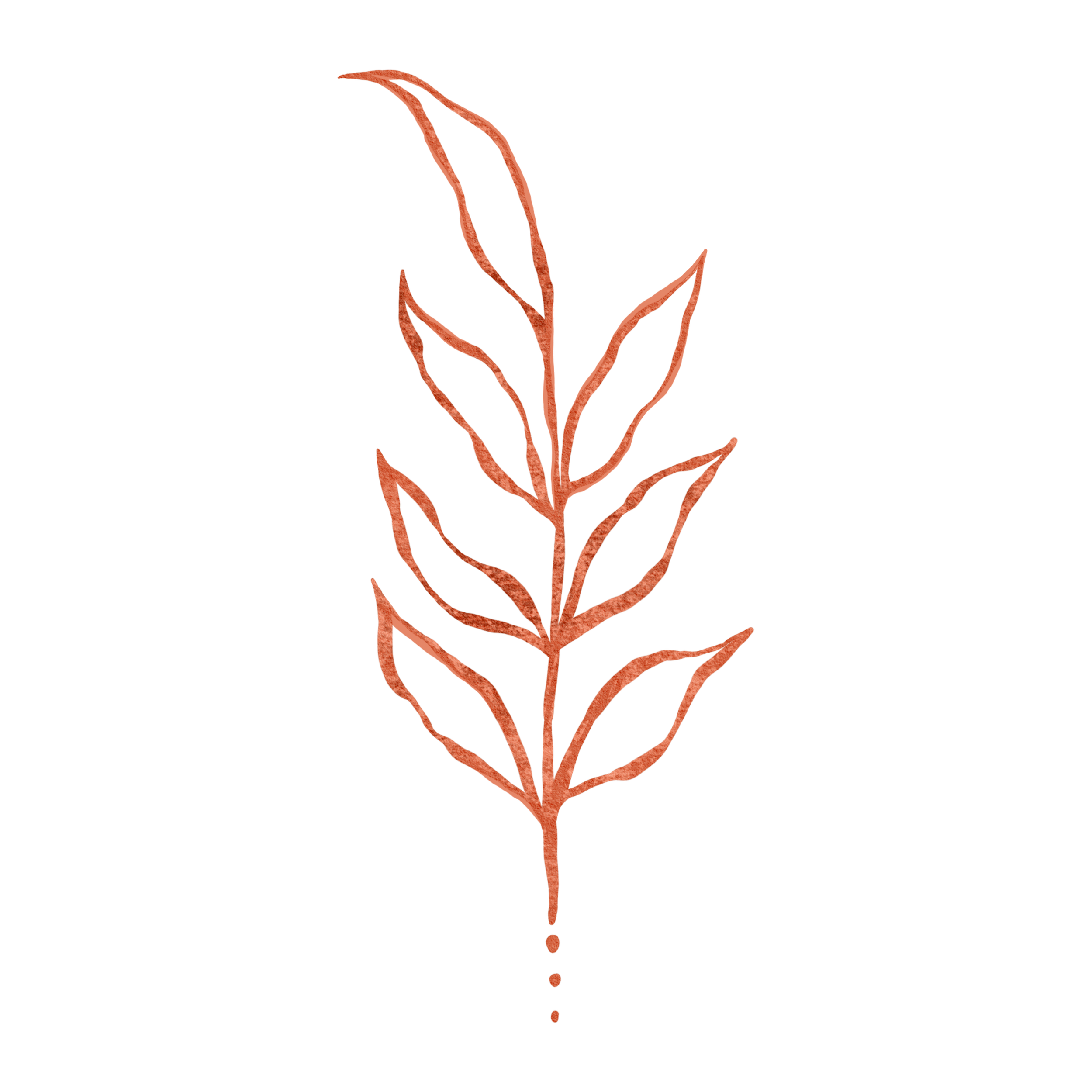 Diagram of a plant with labeled parts including root, stem, leaves, and flower, with annotations and arrows pointing to each part.