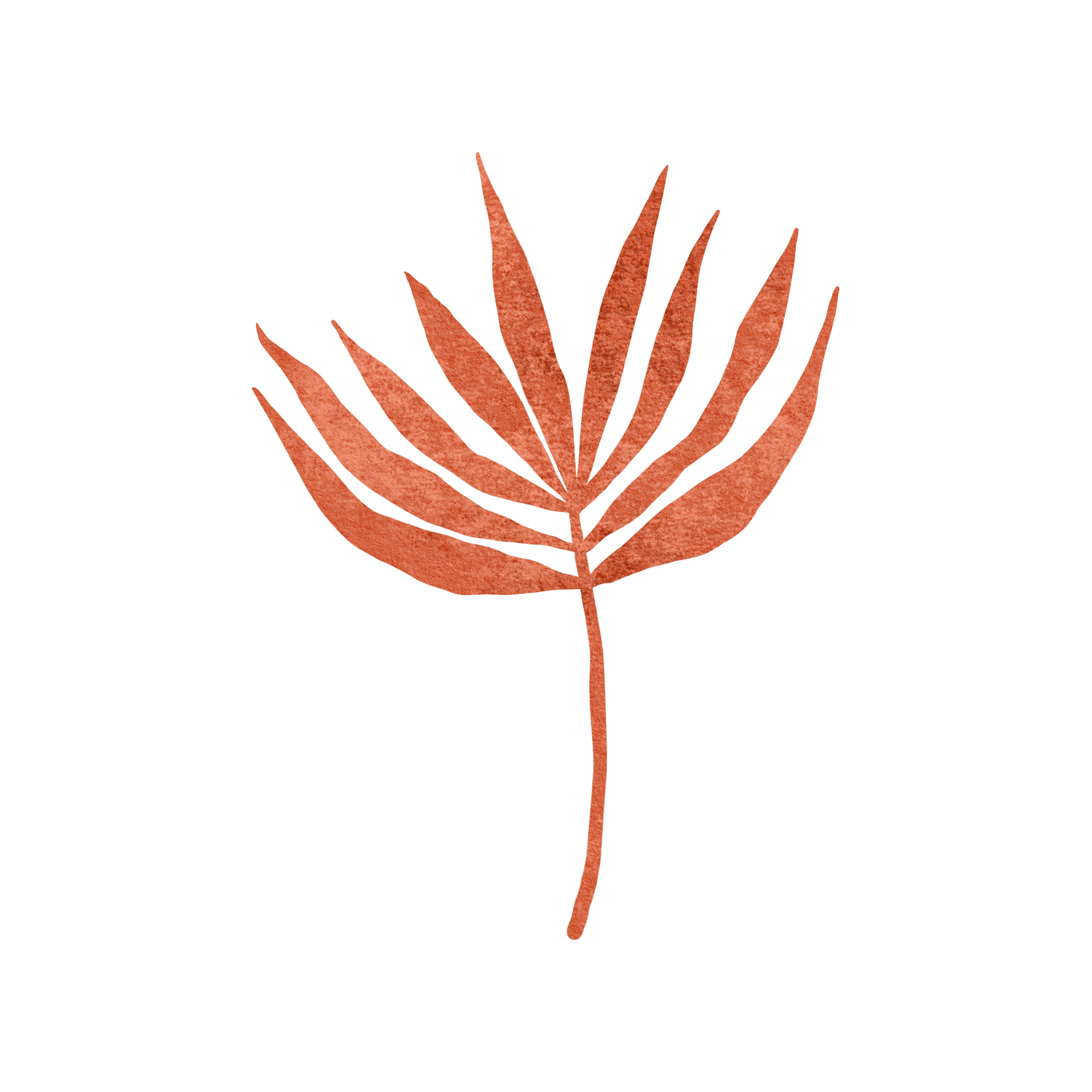 A stylized illustration of a brownish-red leaf with multiple elongated leaflets, placed against a transparent background.