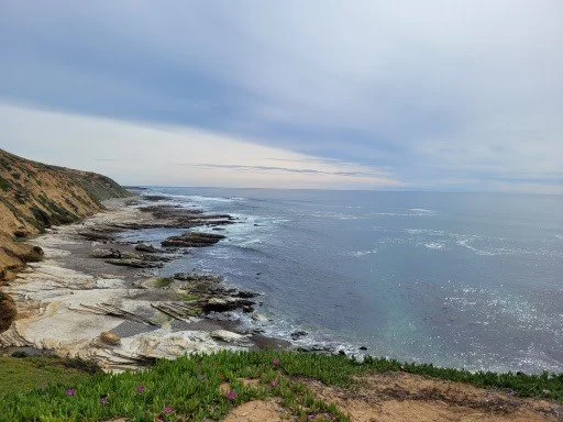 Coastal cliffs with rocky shoreline and grassy area overlooking the ocean on a cloudy day.