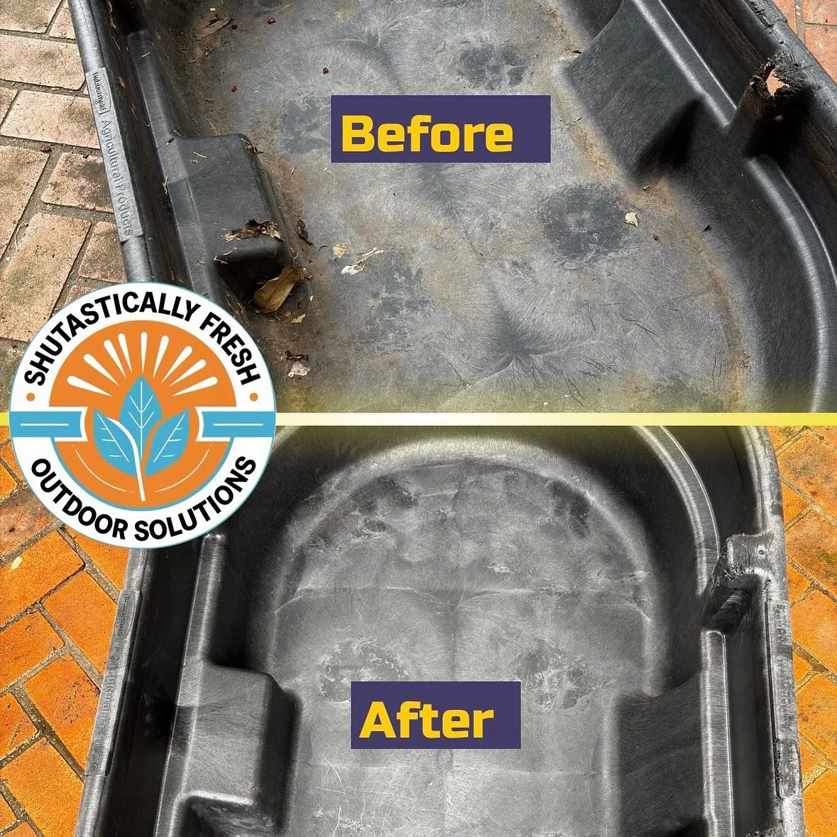 Cleaning dog bath for customer.