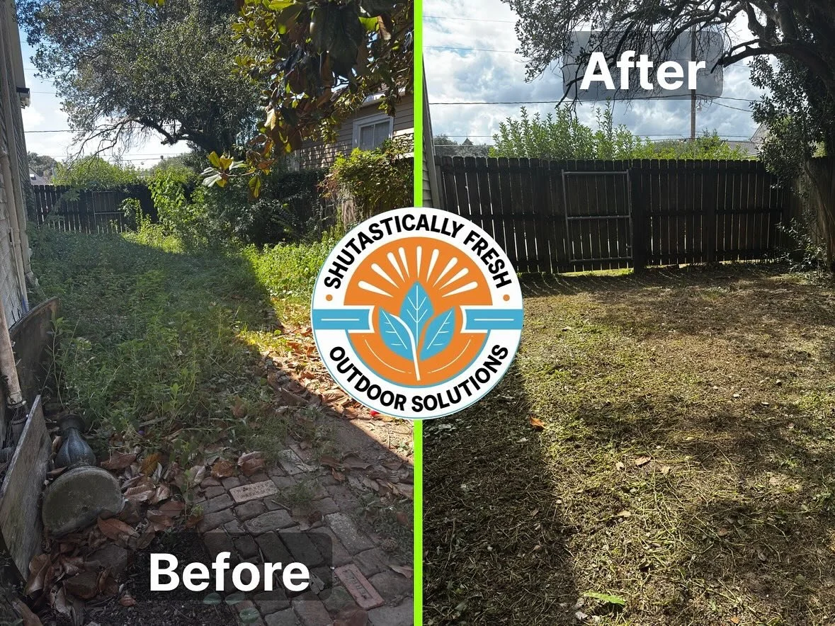 Debris and Overgrowth Removal job done.