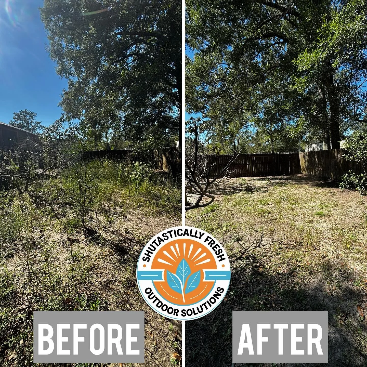 Plant overgrowth removal.