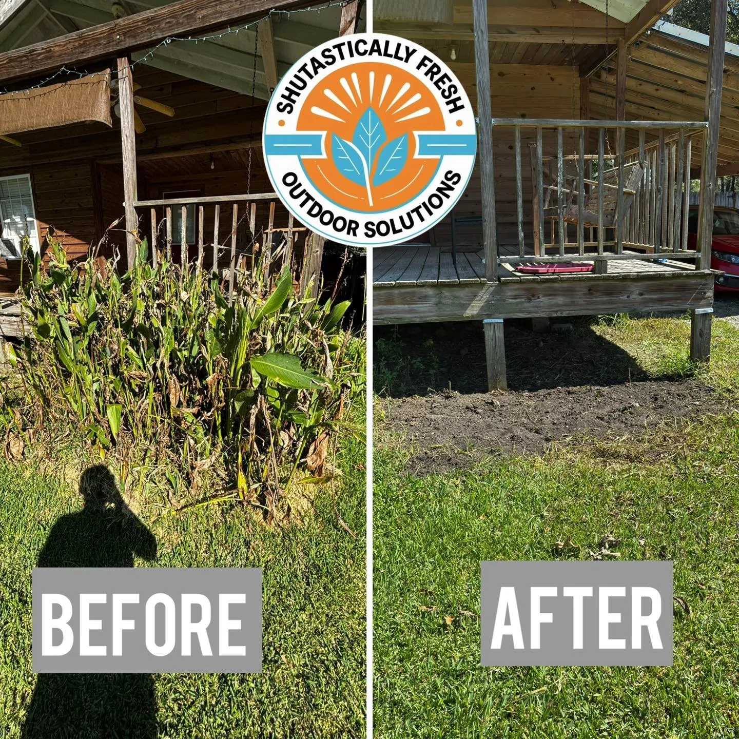 Plant overgrowth removal &amp; yard detailing.