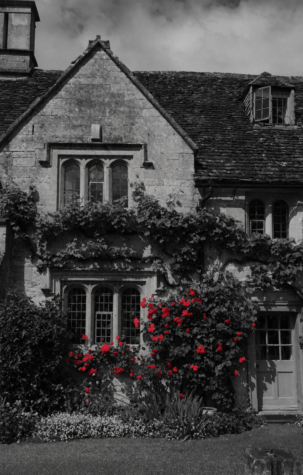 A black and white photo of a vintage stone house with red flowers and lush garden plants in front.
