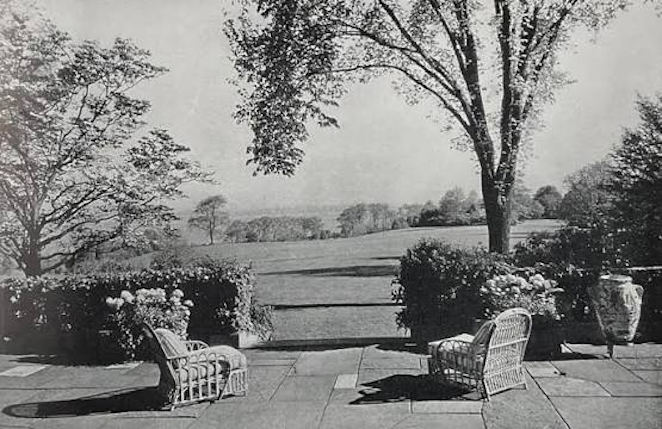 Black and white photo of a park with trees, benches, and bushes, seen from a covered patio area.